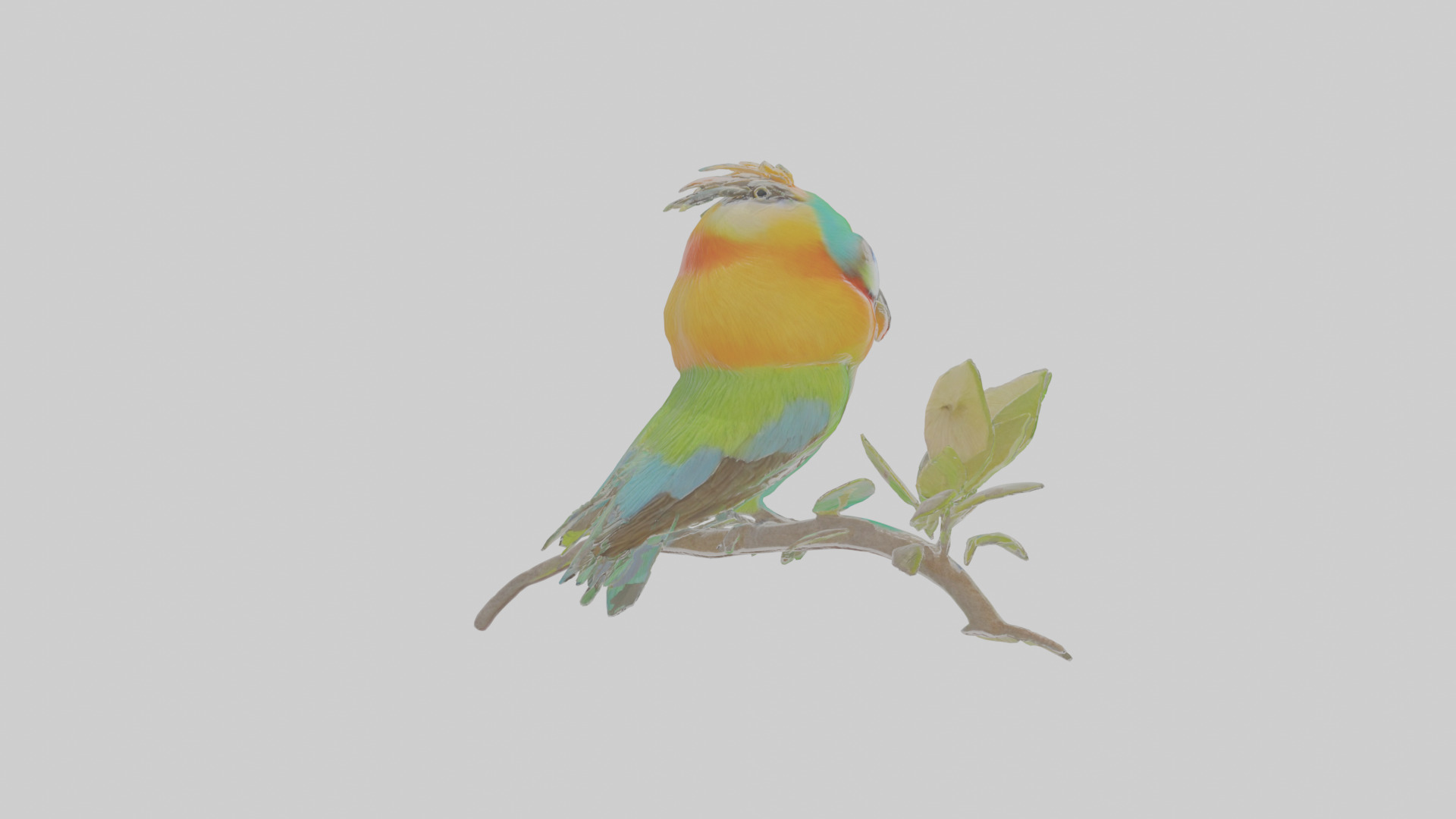 Cartoon Beeeater Low-poly 3D model_2
