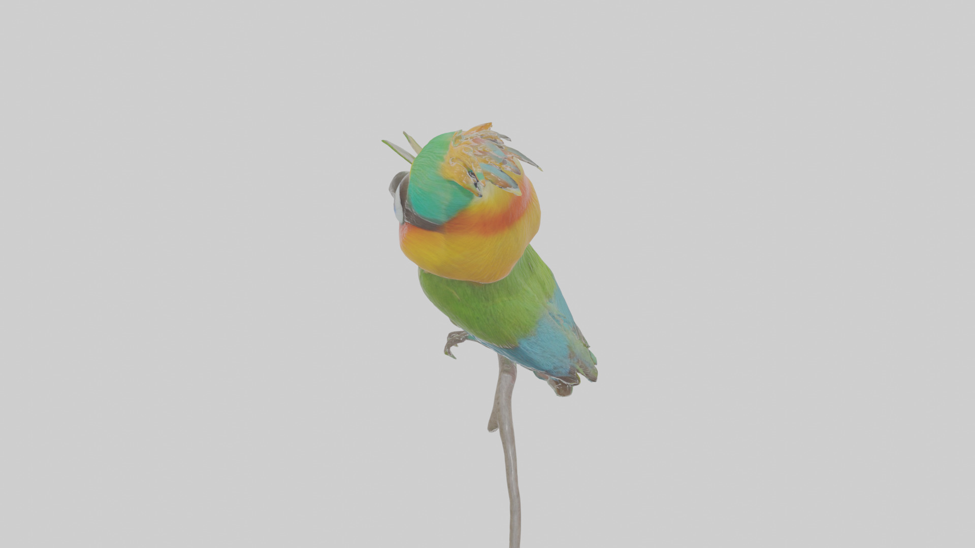 Cartoon Beeeater Low-poly 3D model_26