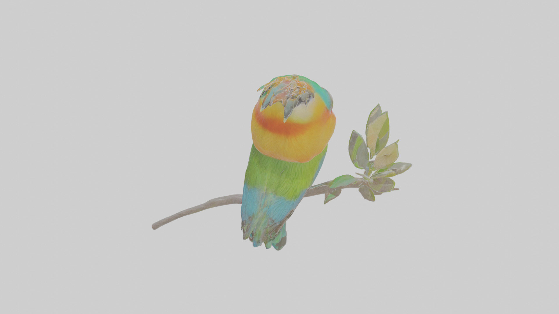 Cartoon Beeeater Low-poly 3D model_23
