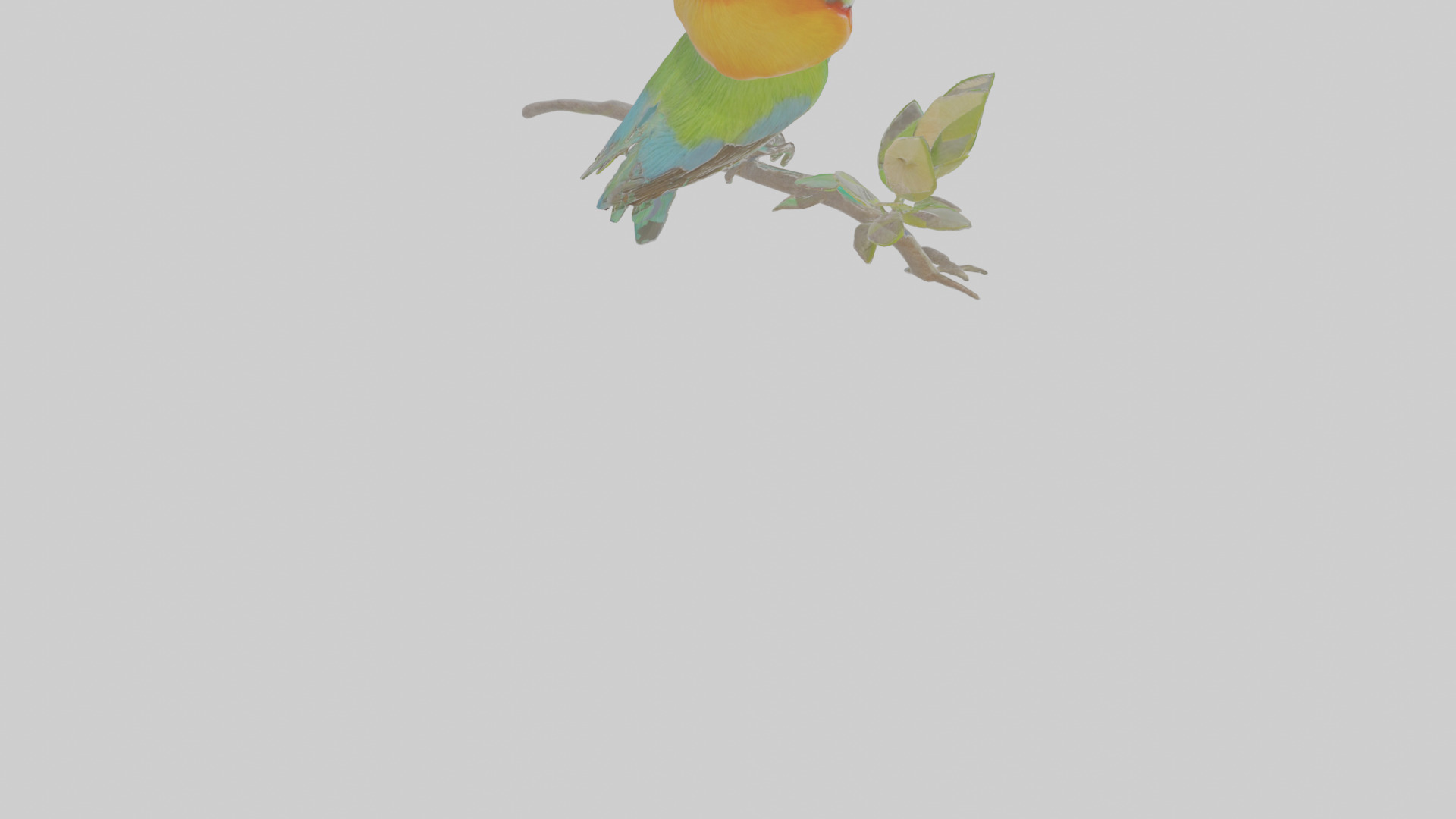 Cartoon Beeeater Low-poly 3D model_5