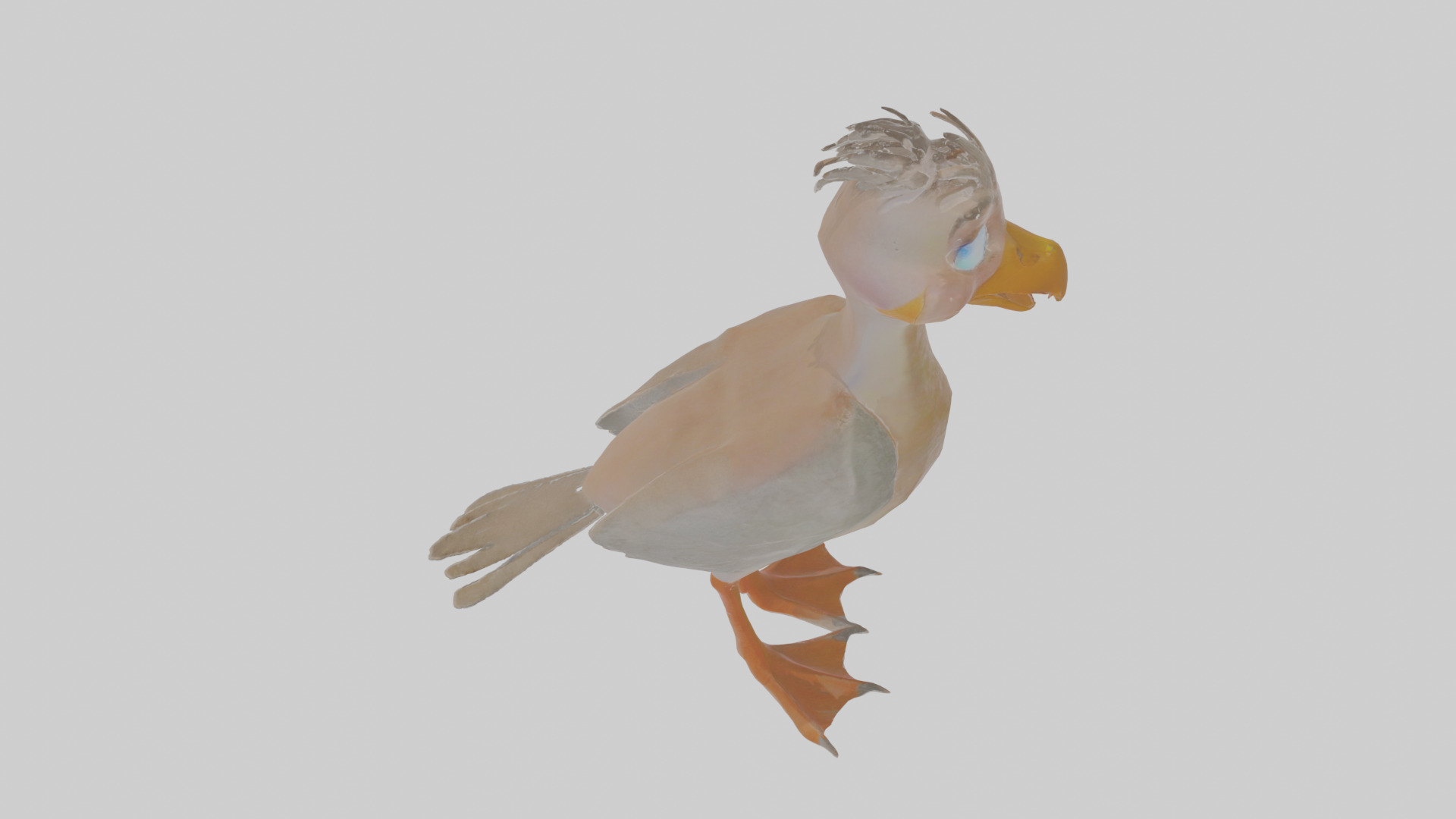 Cartoon Booby Low-poly 3D model_28