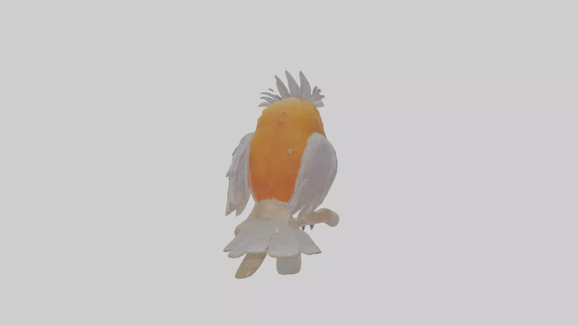 Cartoon Bristlebird Low-poly 3D model_0