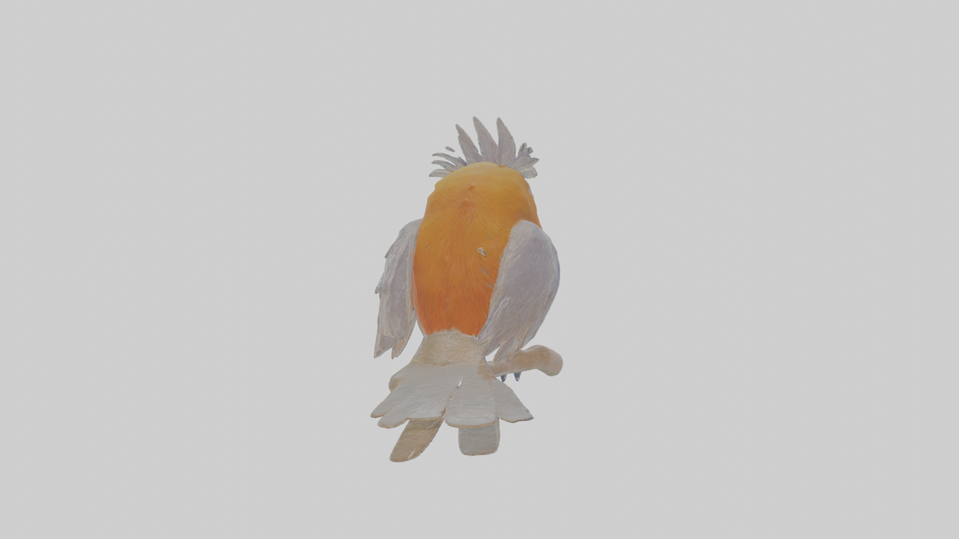 Cartoon Bristlebird Low-poly 3D model_1