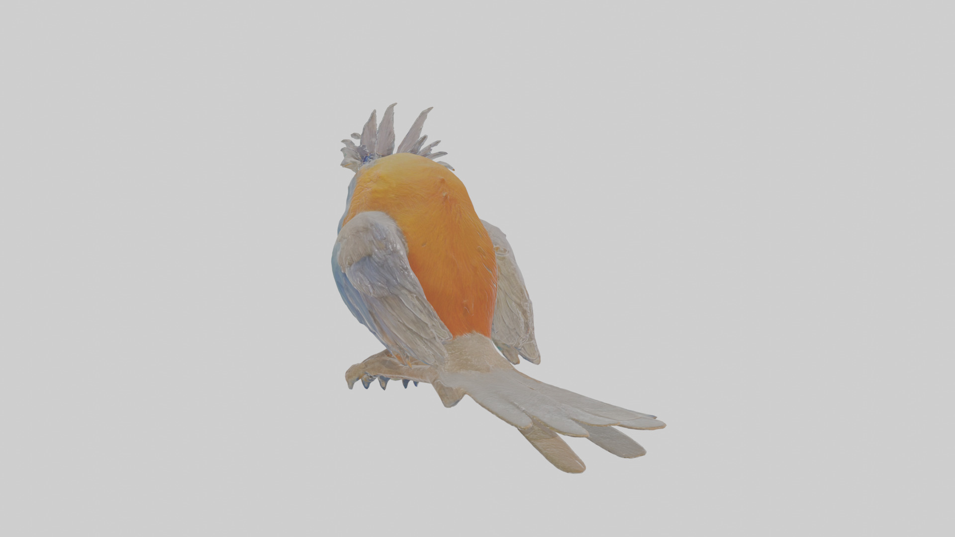 Cartoon Bristlebird Low-poly 3D model_2