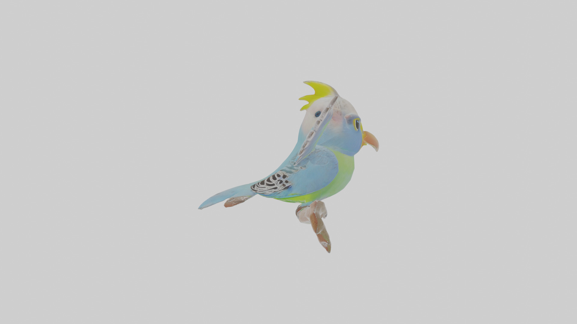 Cartoon Budgerigar Low-poly 3D model_20