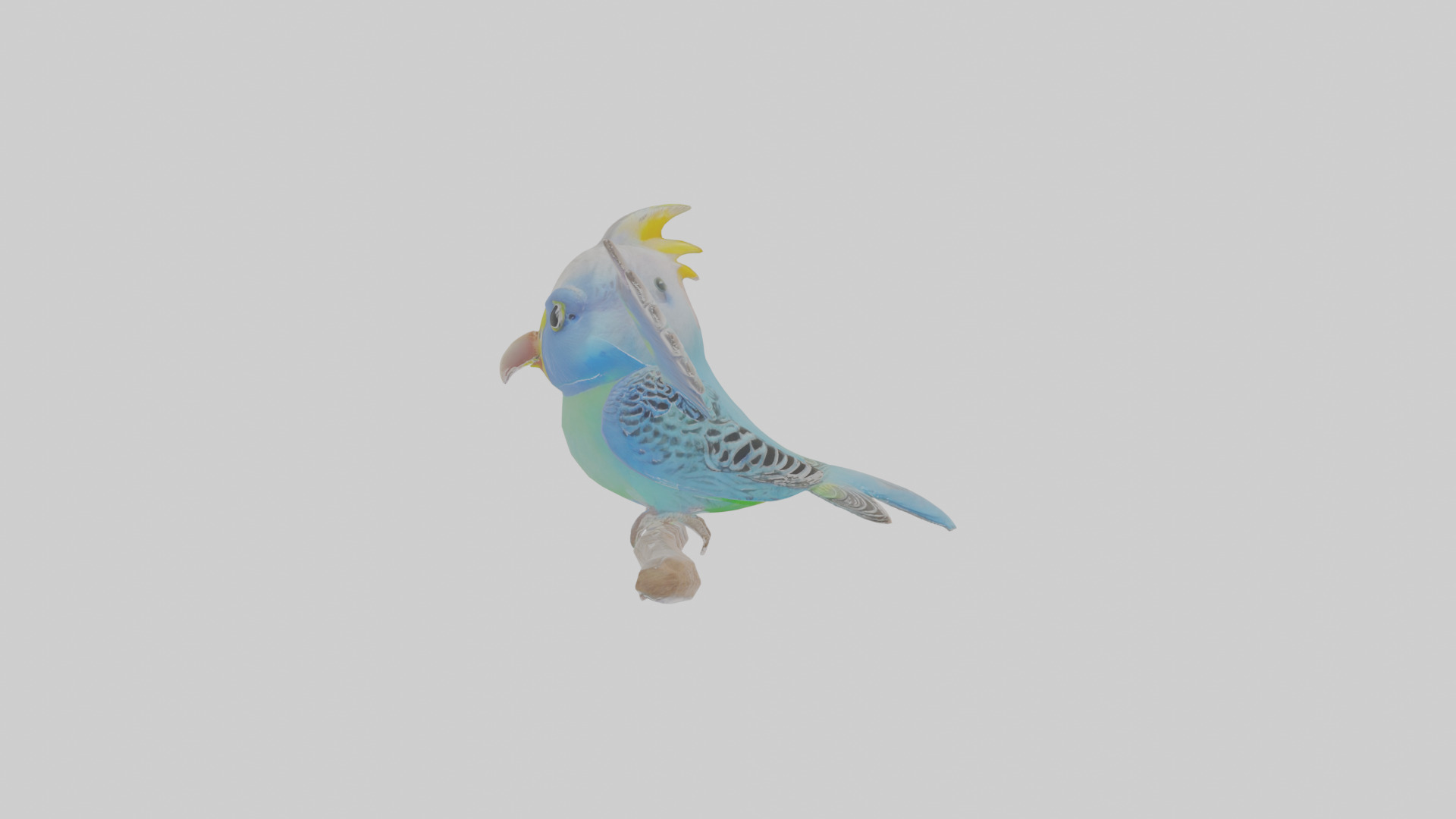 Cartoon Budgerigar Low-poly 3D model_19