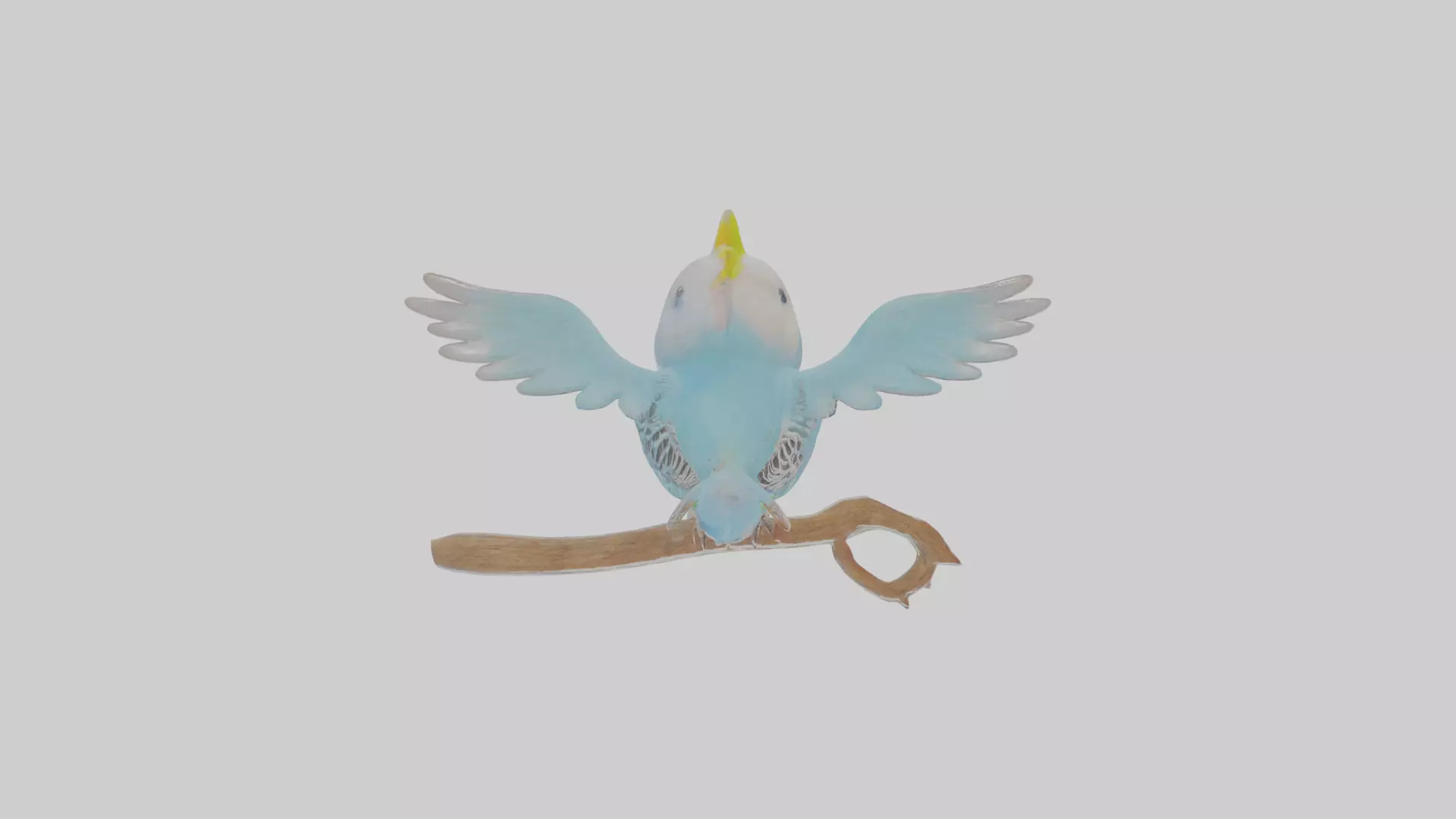 Cartoon Budgerigar Low-poly 3D model_0