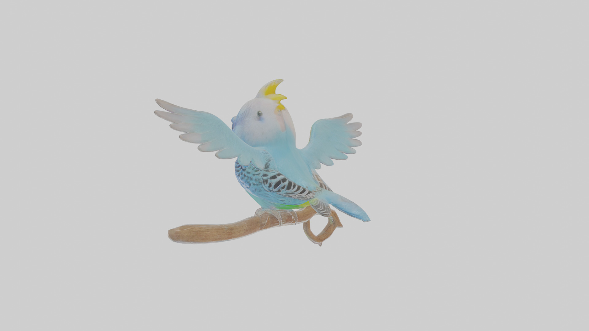Cartoon Budgerigar Low-poly 3D model_3