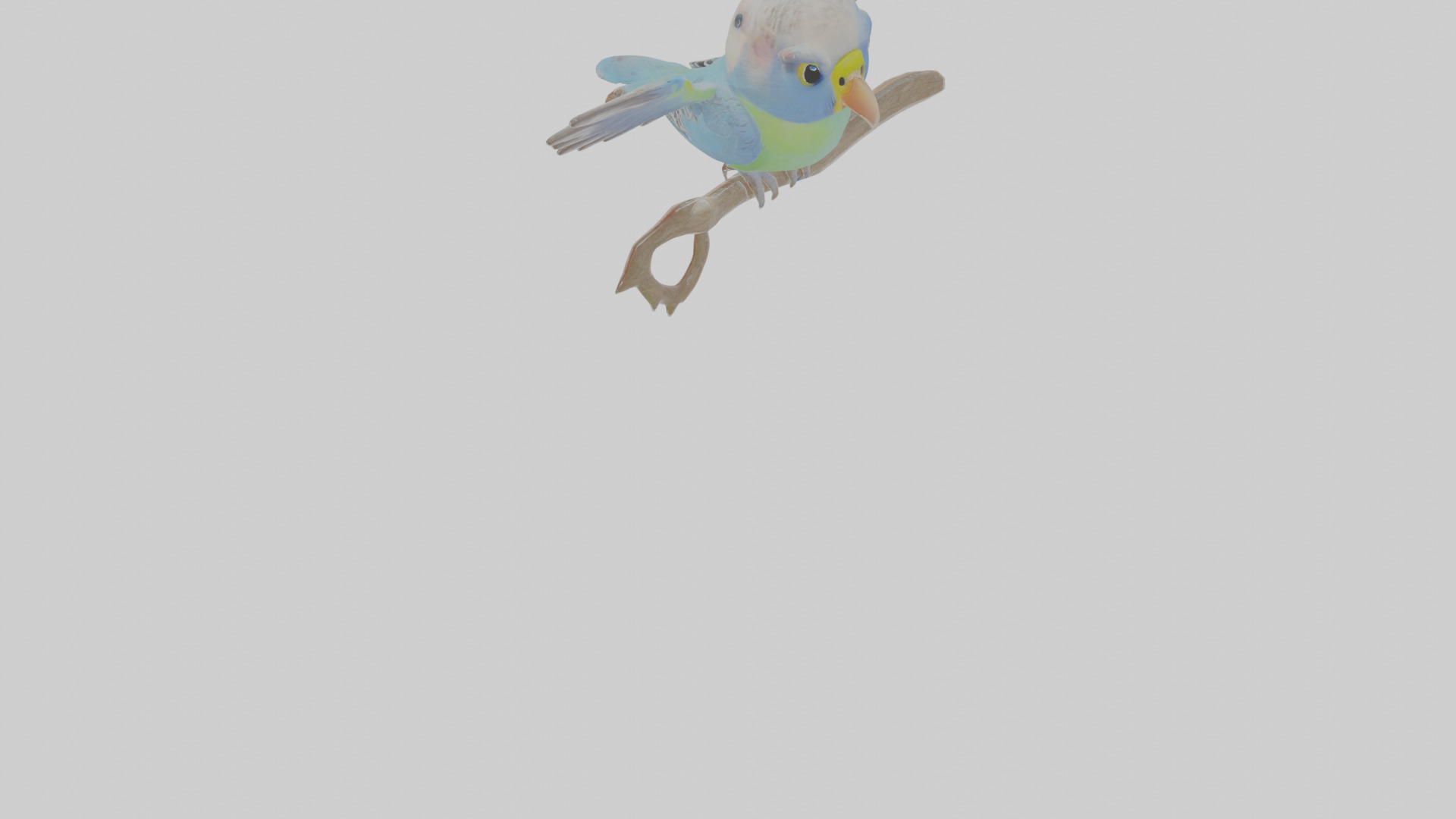 Cartoon Budgerigar Low-poly 3D model_10