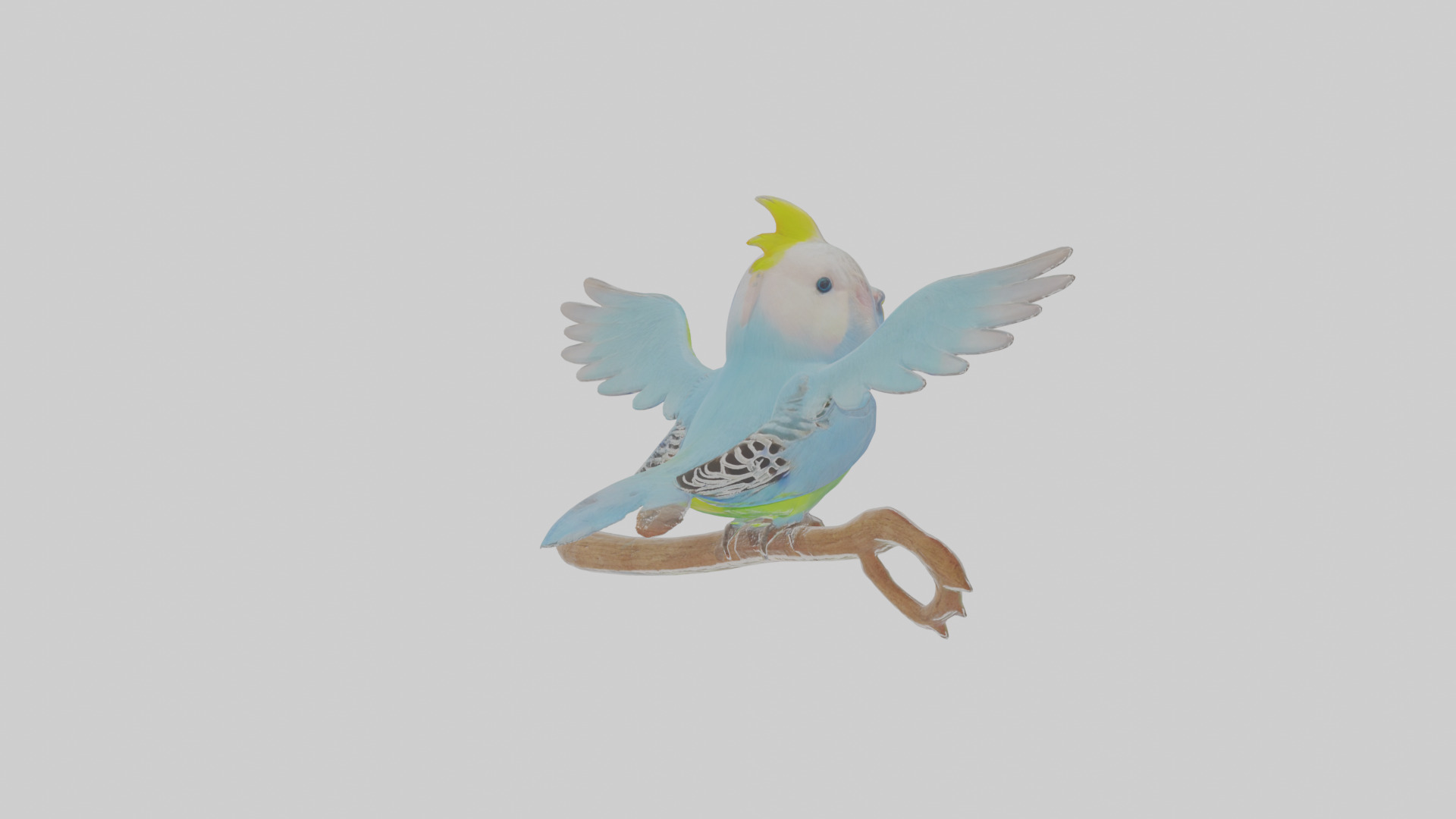 Cartoon Budgerigar Low-poly 3D model_4