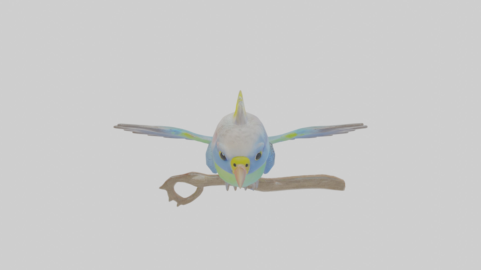 Cartoon Budgerigar Low-poly 3D model_25