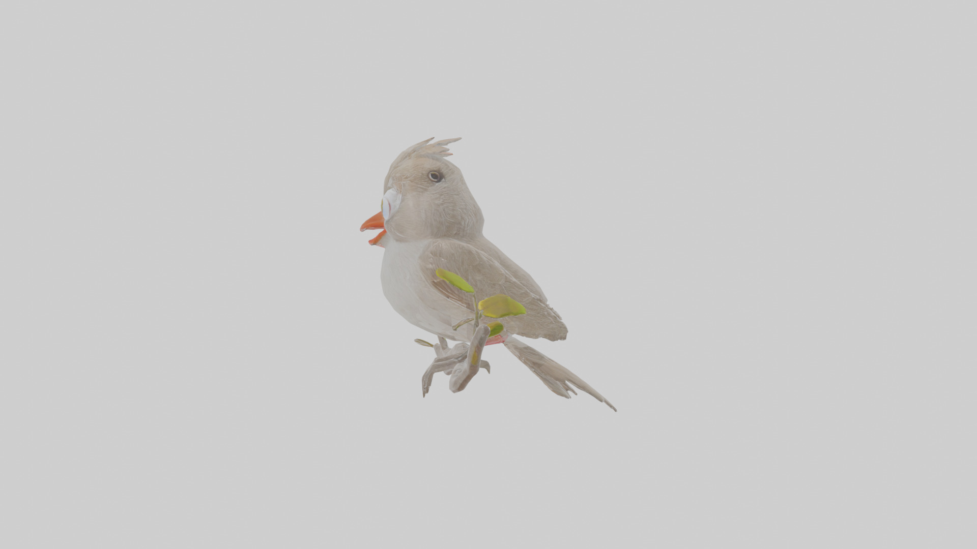 Cartoon Bulbul Low-poly 3D model_19