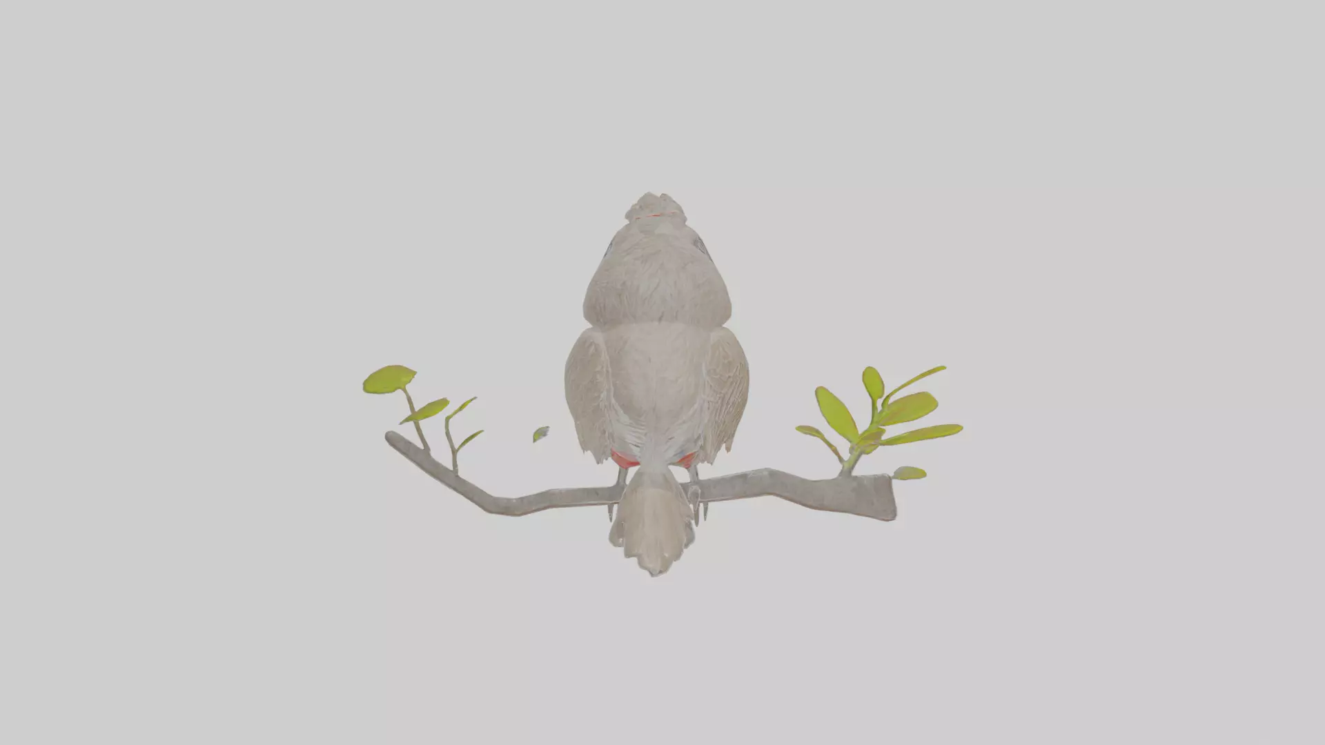 Cartoon Bulbul Low-poly 3D model_0