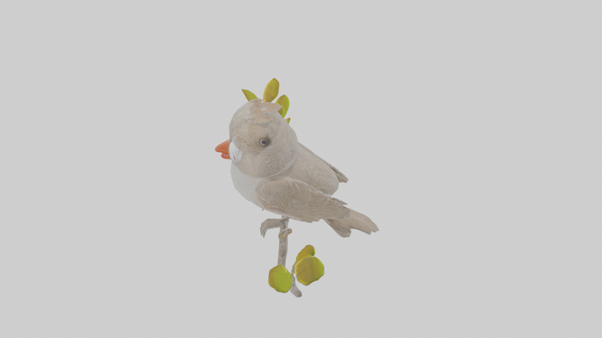 Cartoon Bulbul Low-poly 3D model_27