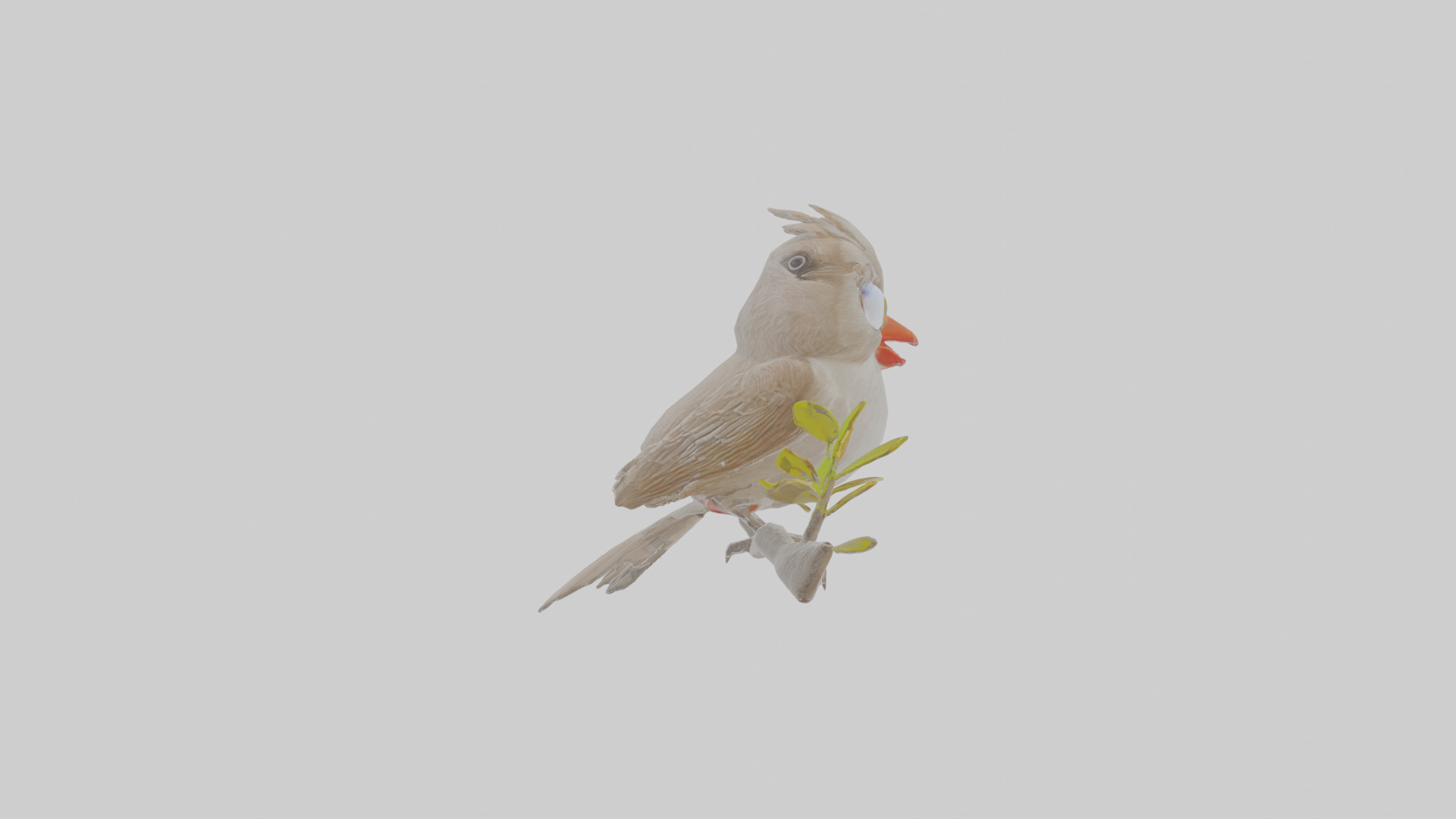 Cartoon Bulbul Low-poly 3D model_21