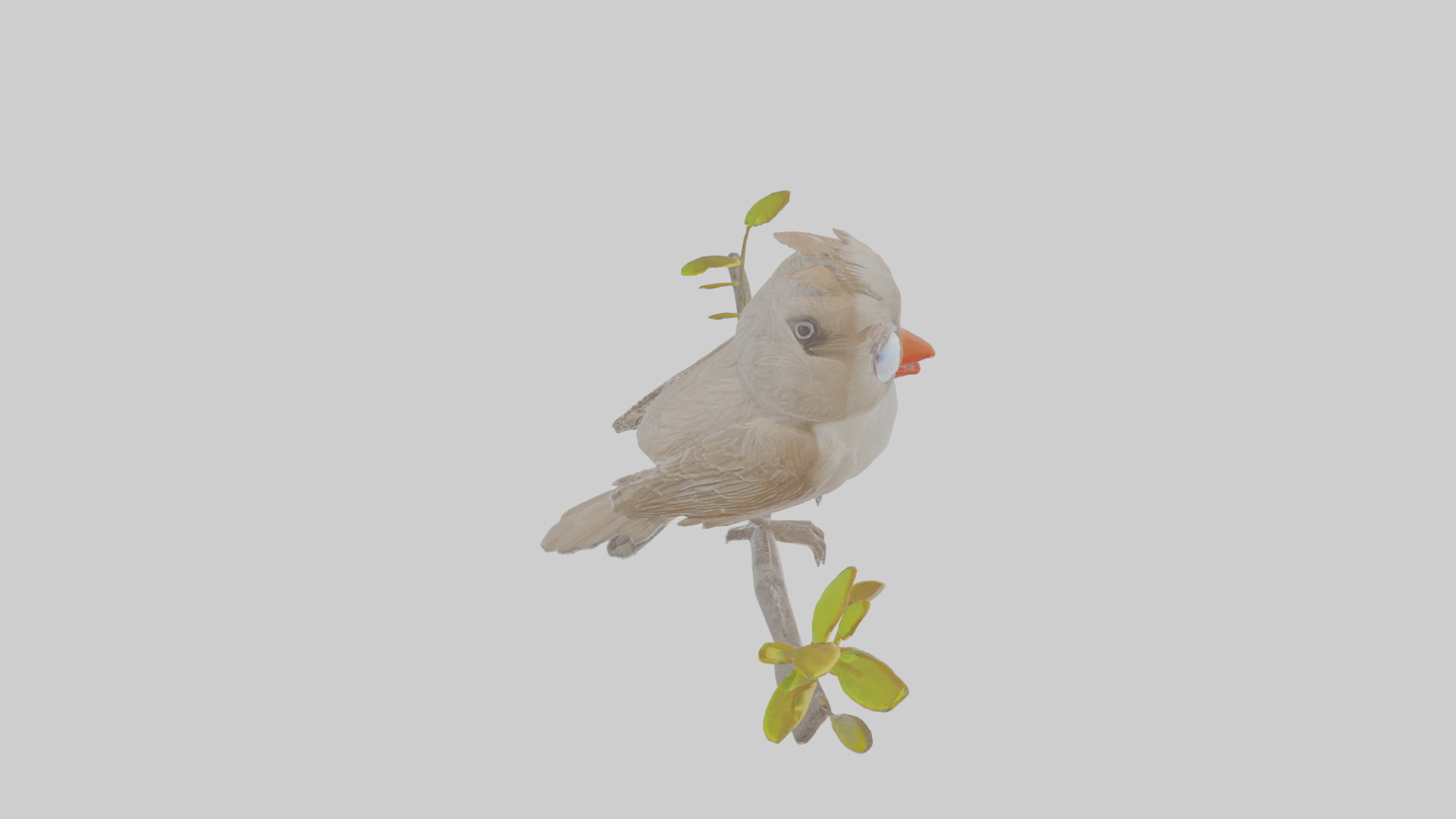 Cartoon Bulbul Low-poly 3D model_28
