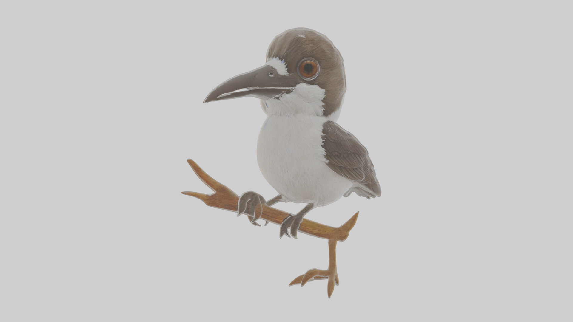 Cartoon Butcherbird Low-poly 3D model_15