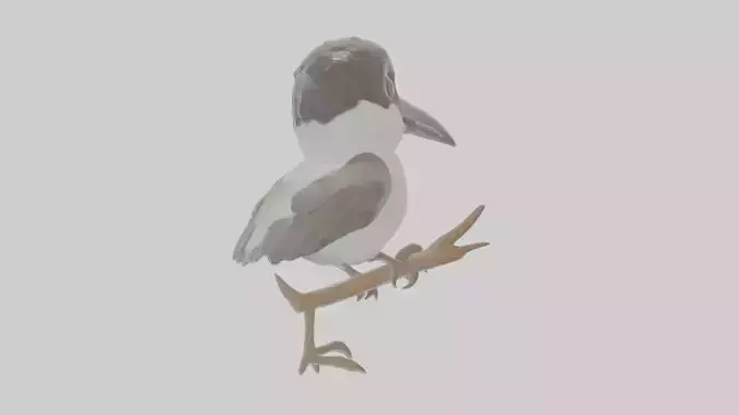 Cartoon Butcherbird