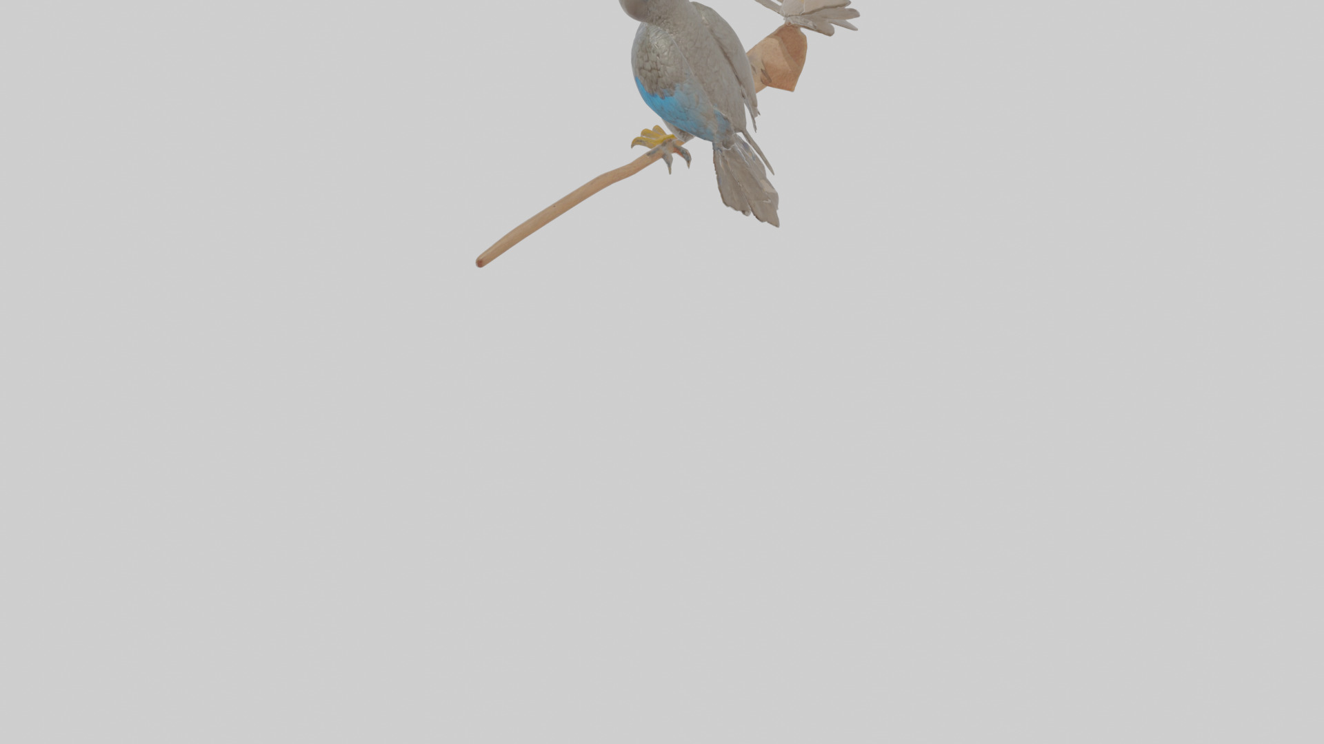 Cartoon Cacique Low-poly 3D model_6