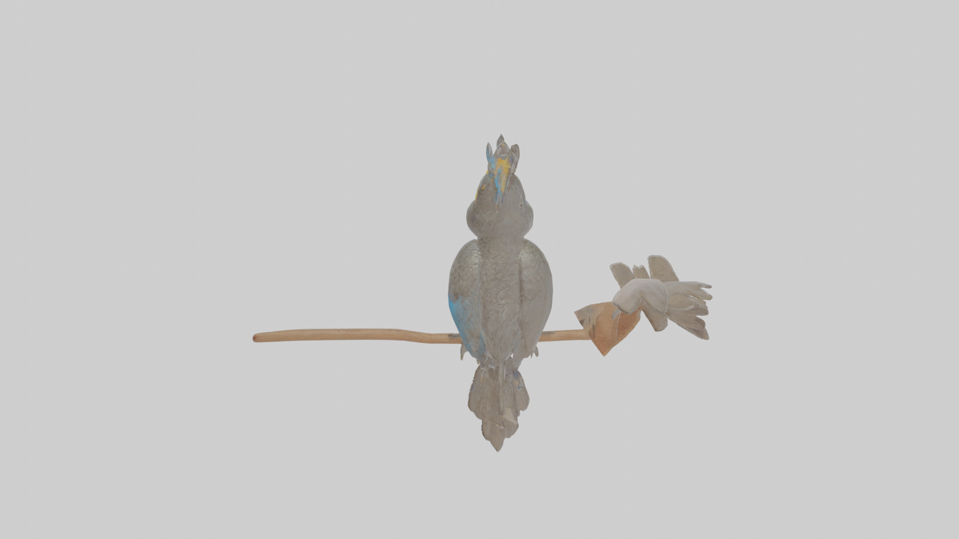 Cartoon Cacique Low-poly 3D model_25