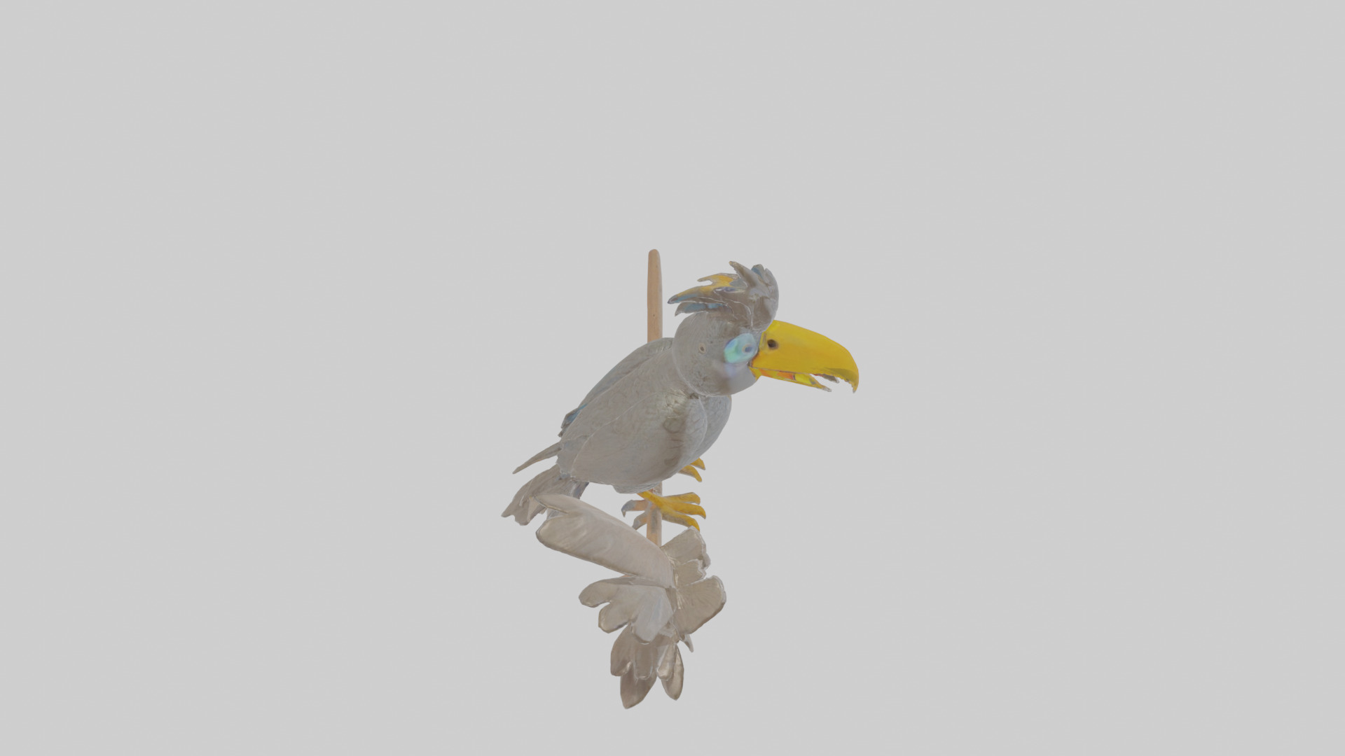 Cartoon Cacique Low-poly 3D model_28