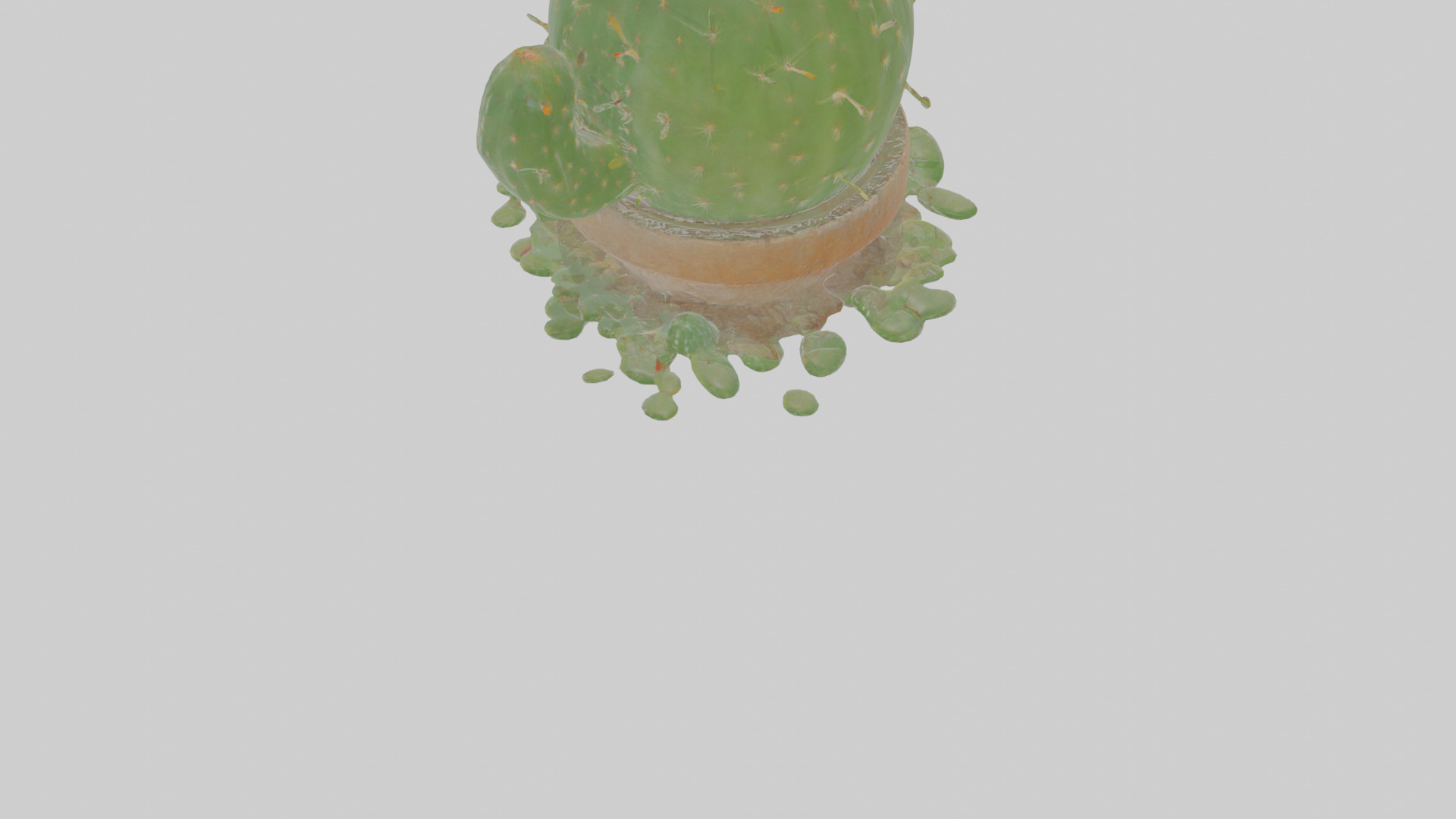 Cartoon Cactus Low-poly 3D model_6