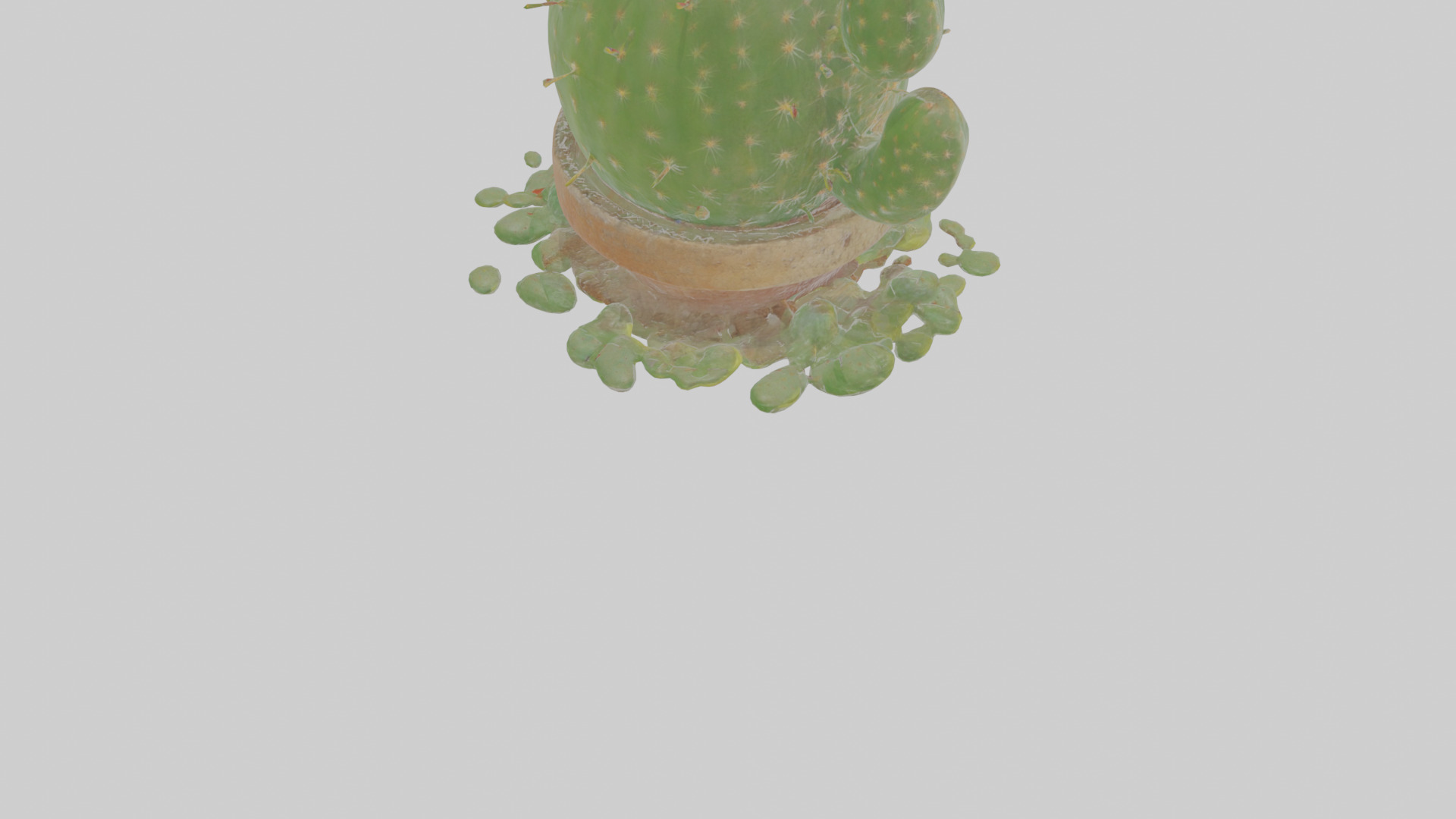 Cartoon Cactus Low-poly 3D model_7