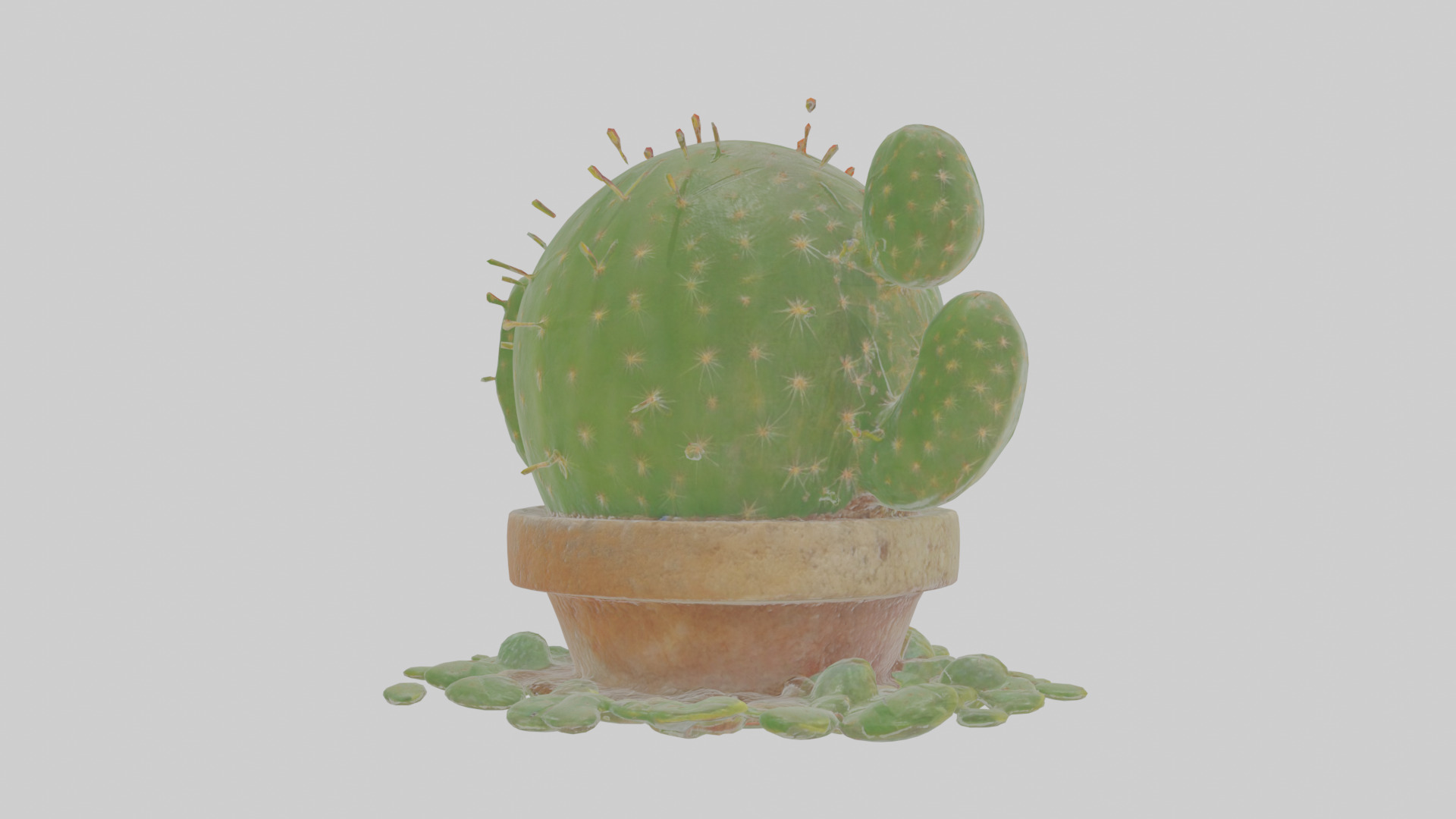 Cartoon Cactus Low-poly 3D model_5