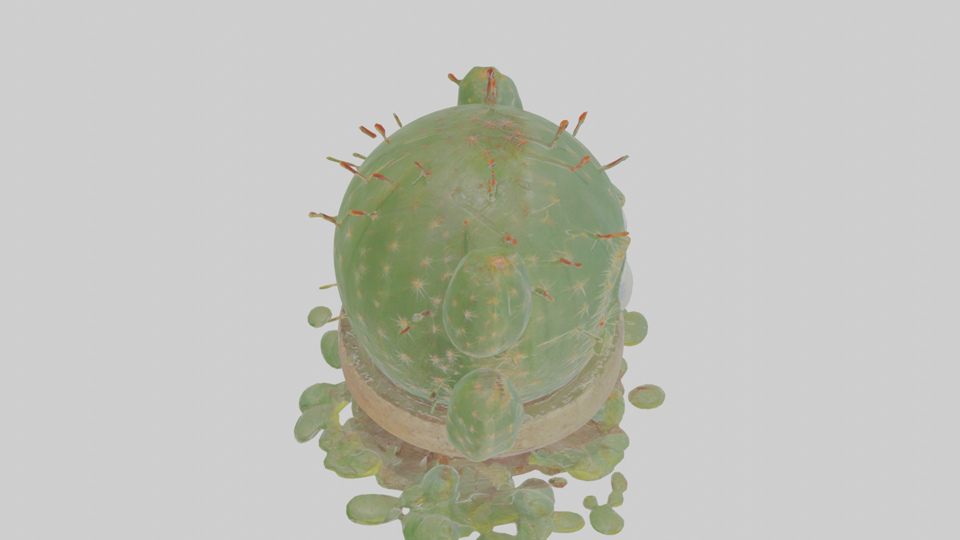 Cartoon Cactus Low-poly 3D model_27
