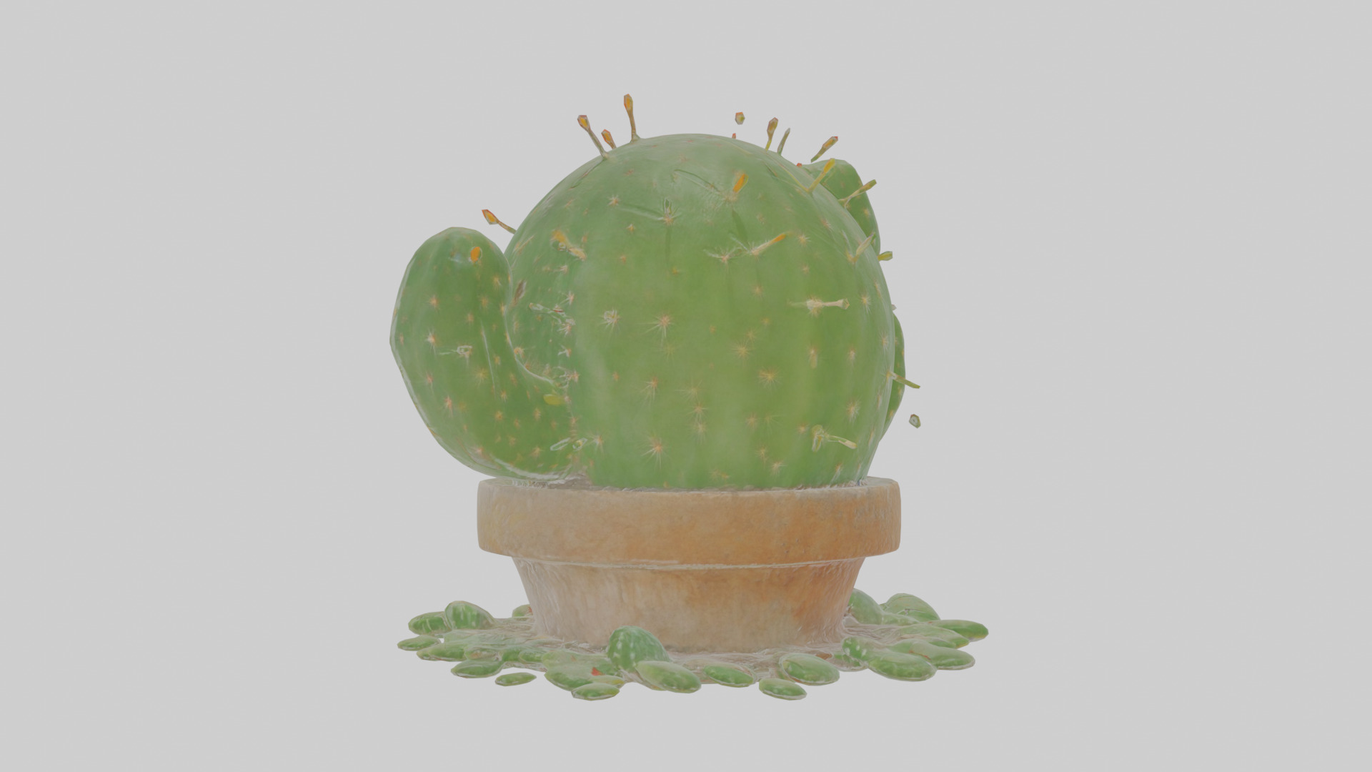 Cartoon Cactus Low-poly 3D model_3
