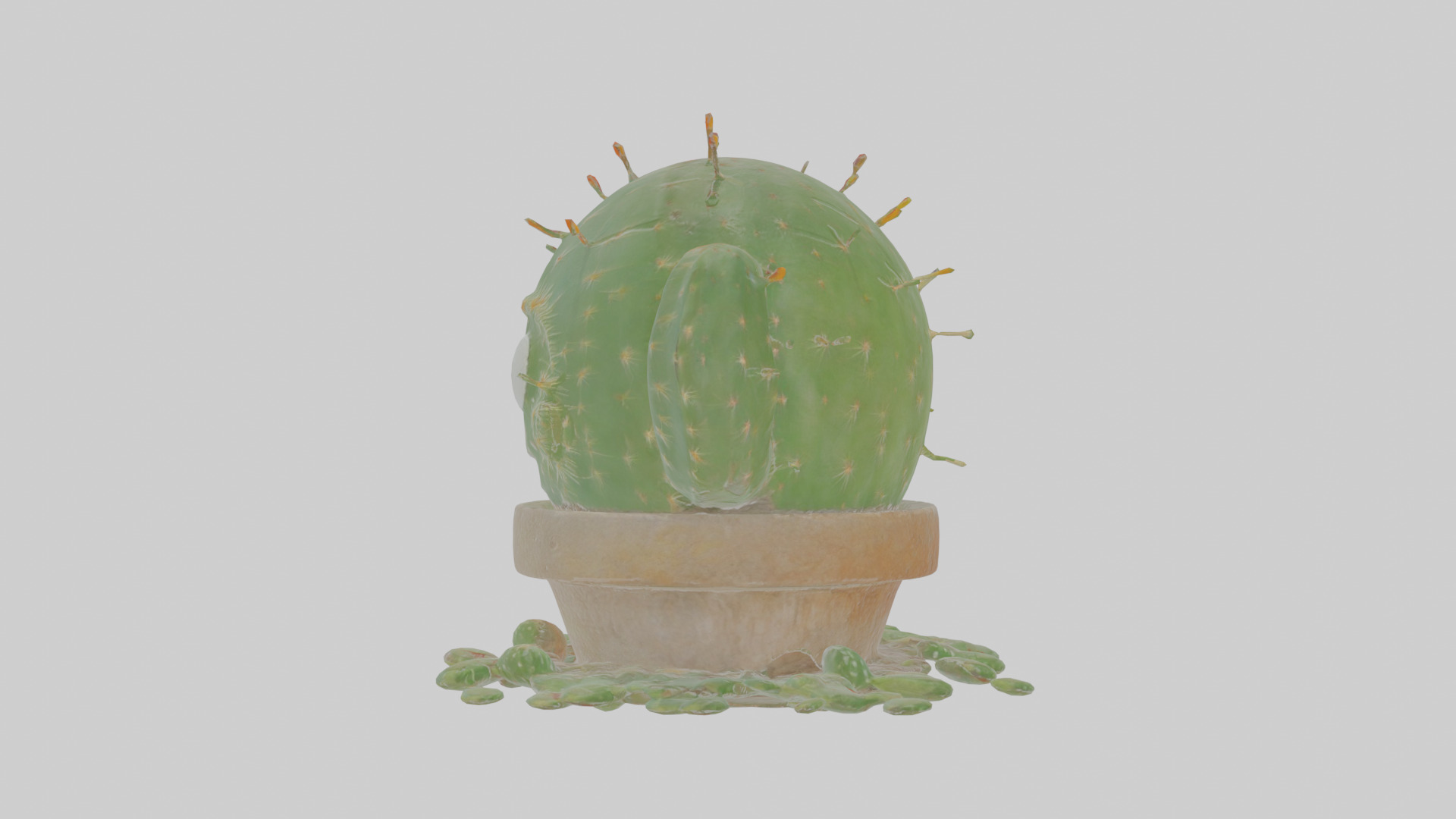 Cartoon Cactus Low-poly 3D model_18
