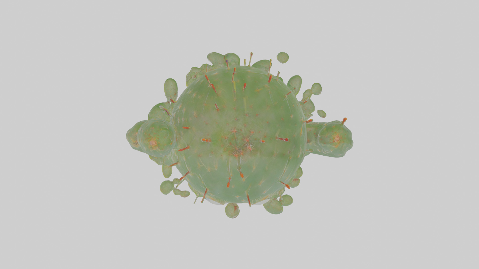 Cartoon Cactus Low-poly 3D model_21