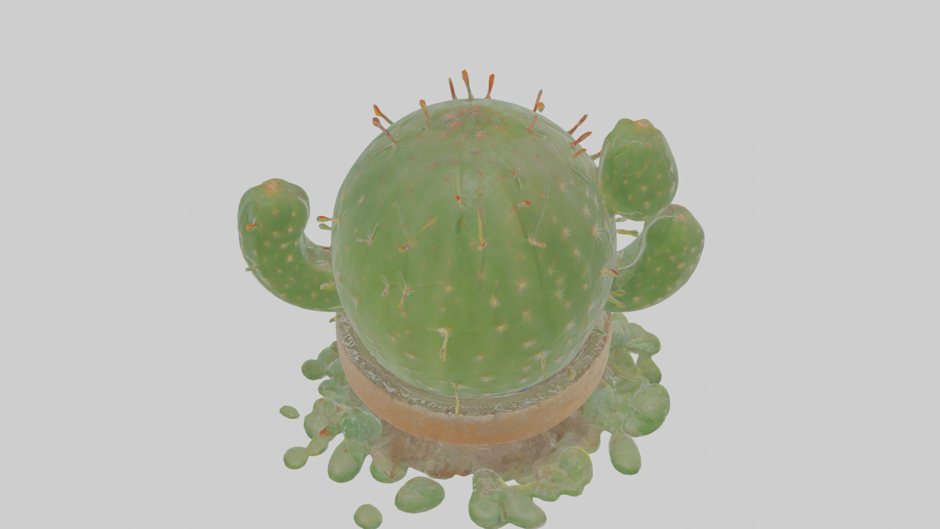 Cartoon Cactus Low-poly 3D model_22