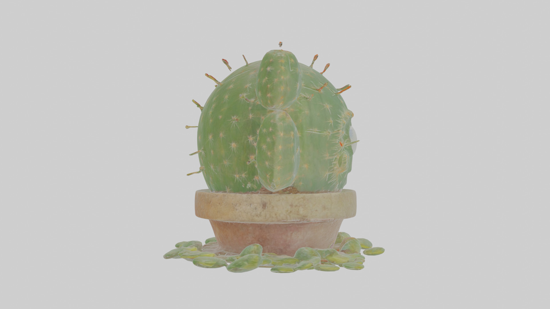 Cartoon Cactus Low-poly 3D model_20
