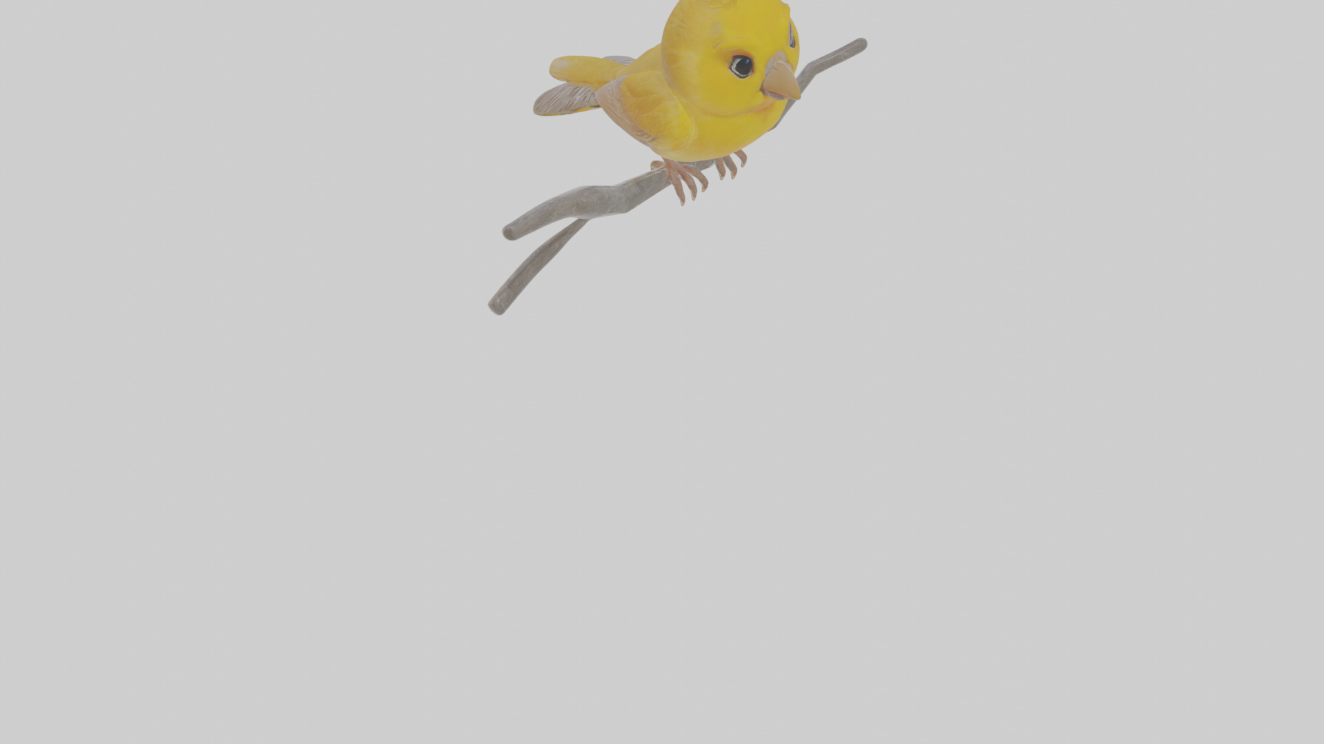 Cartoon Canary Low-poly 3D model_11