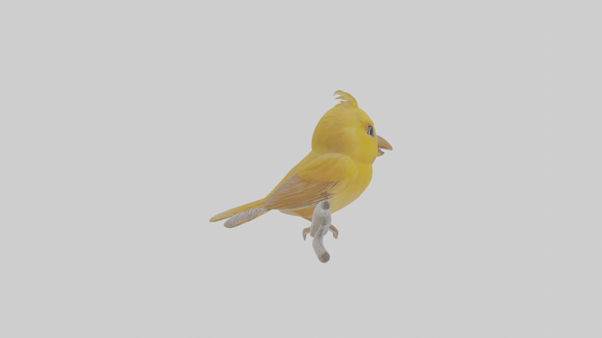 Cartoon Canary Low-poly 3D model_21