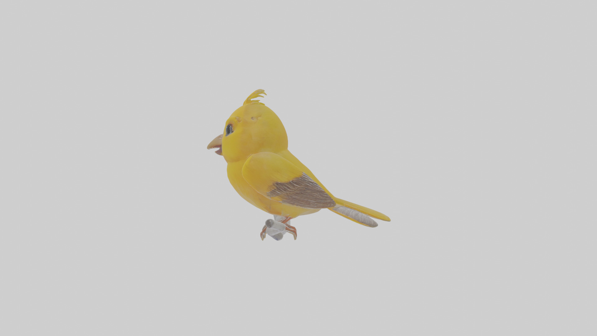 Cartoon Canary Low-poly 3D model_20