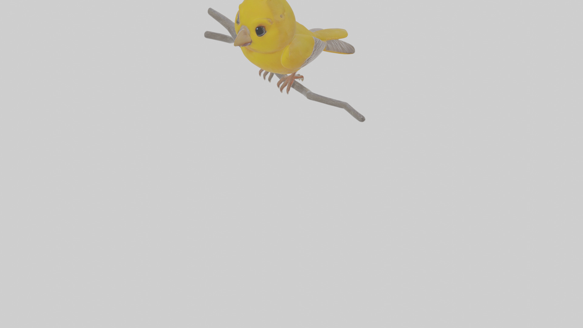 Cartoon Canary Low-poly 3D model_9