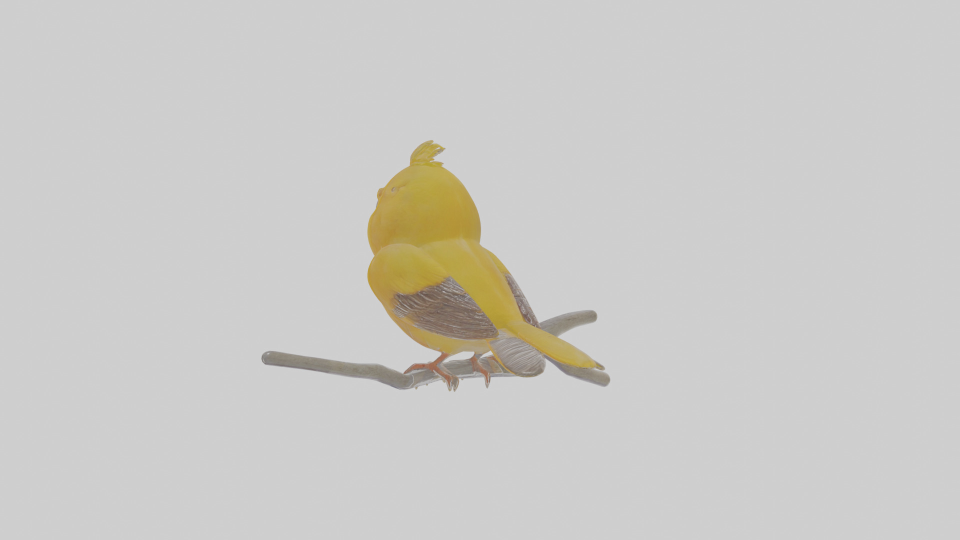 Cartoon Canary Low-poly 3D model_2