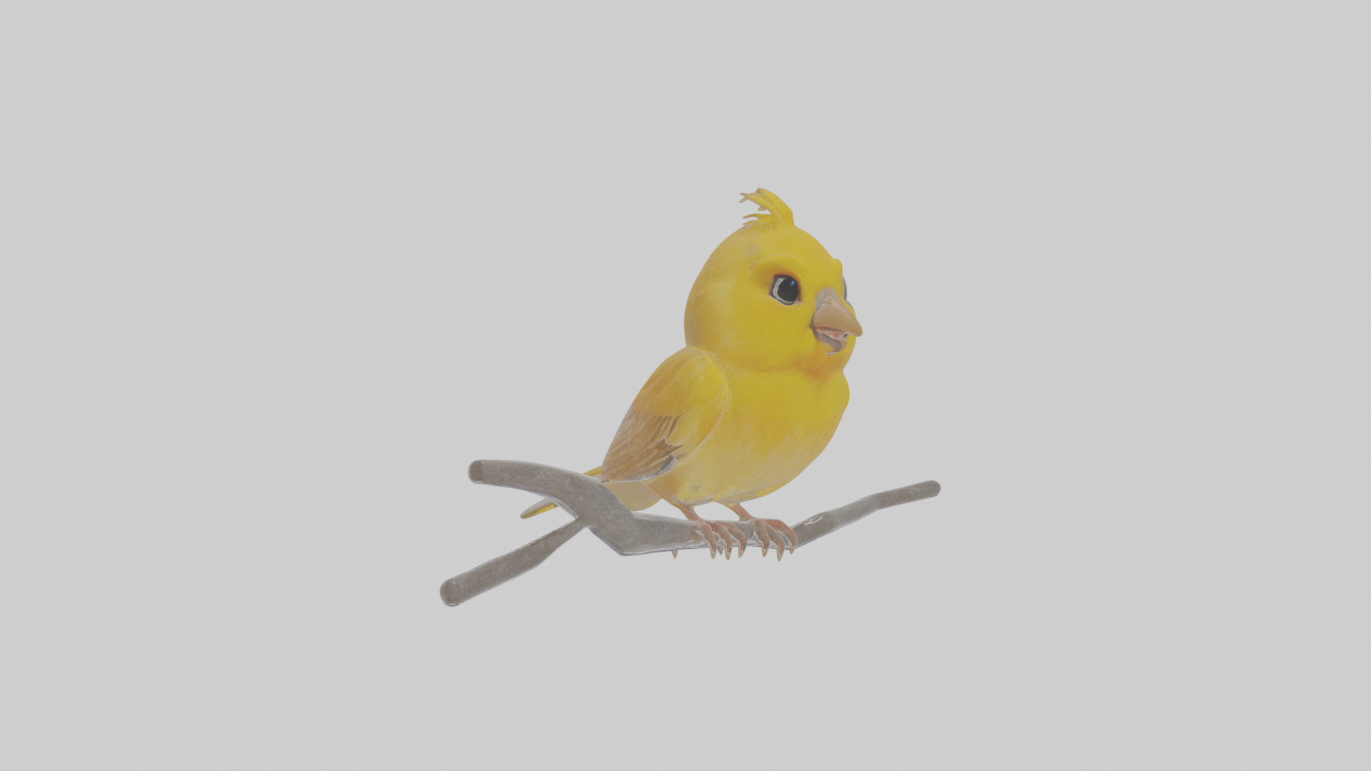 Cartoon Canary Low-poly 3D model_12