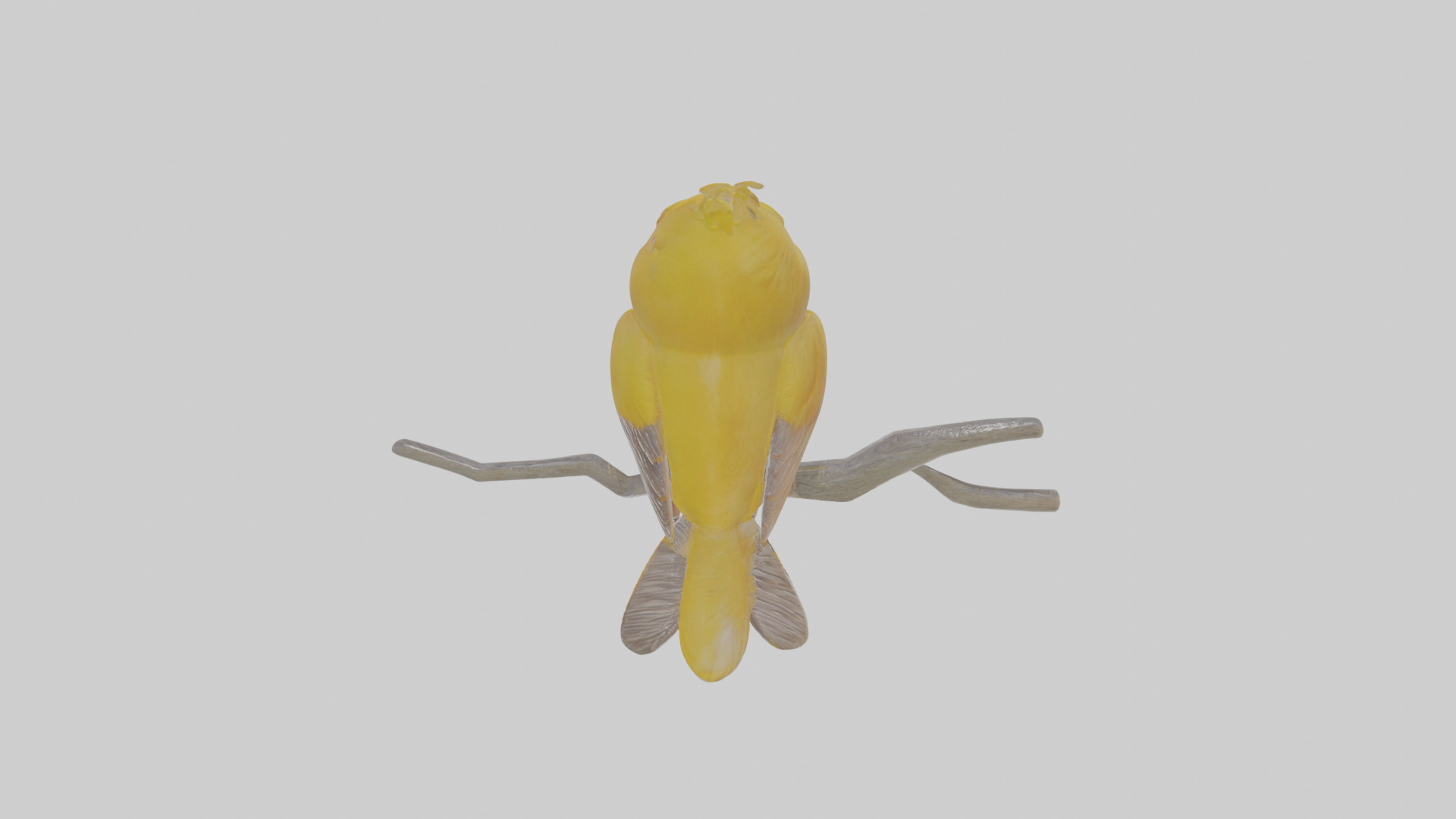 Cartoon Canary Low-poly 3D model_23