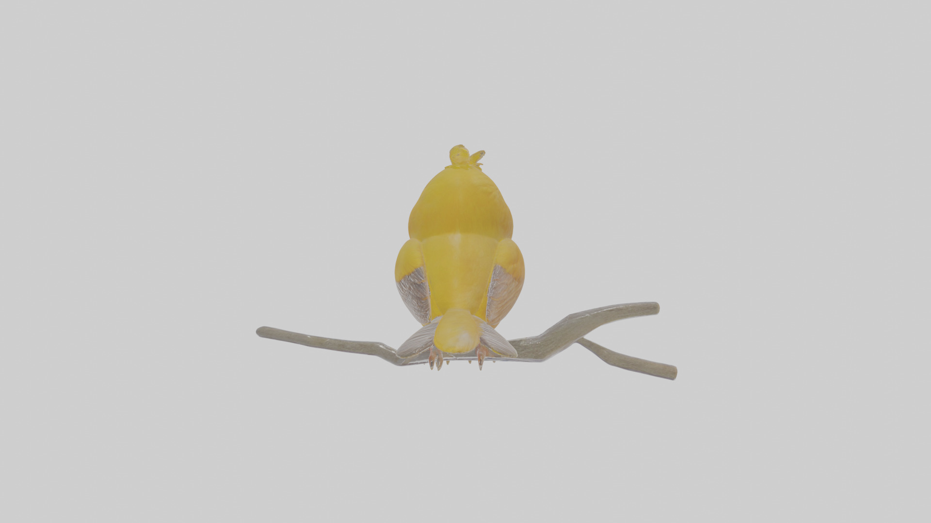 Cartoon Canary Low-poly 3D model_1