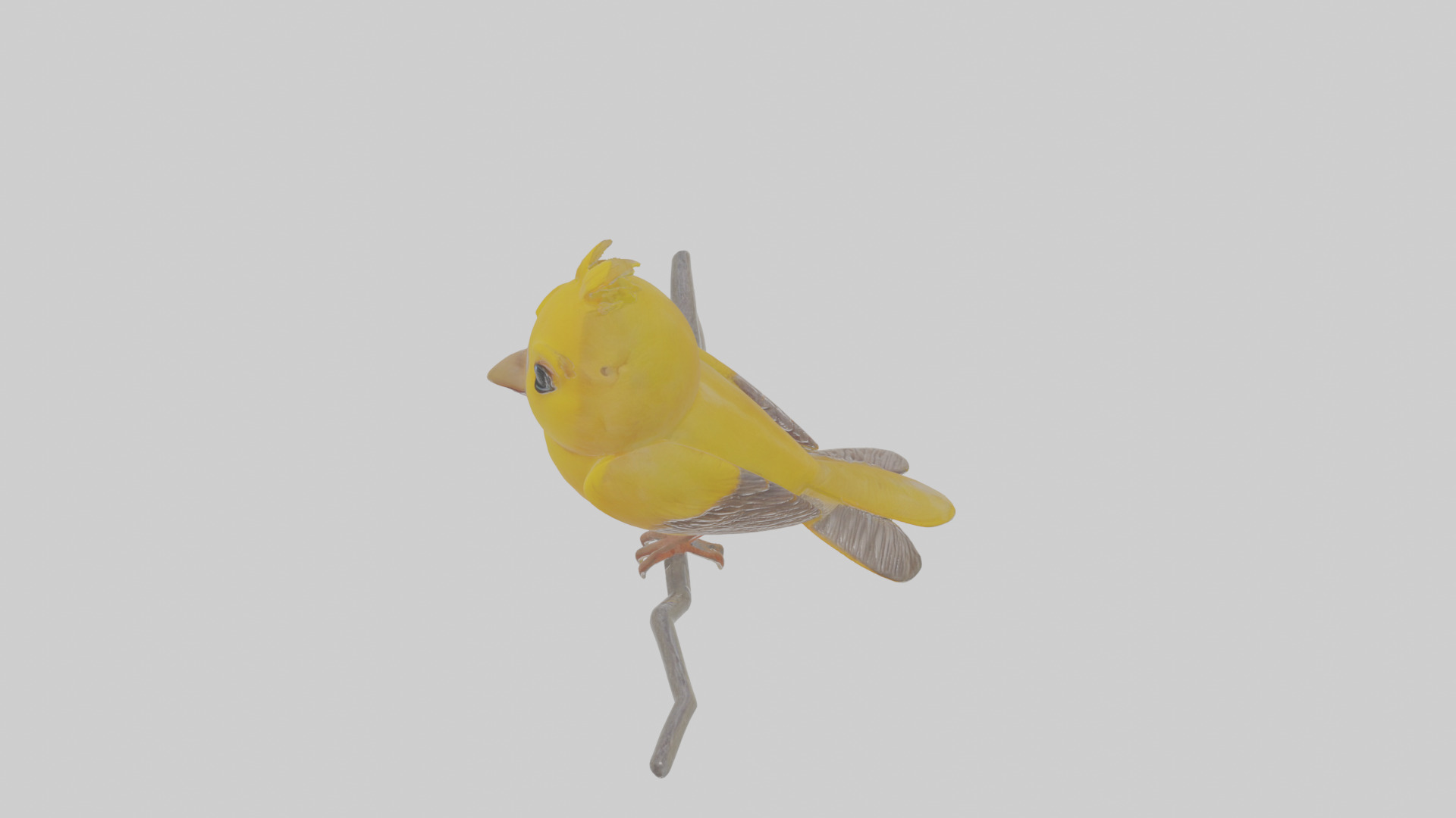 Cartoon Canary Low-poly 3D model_26