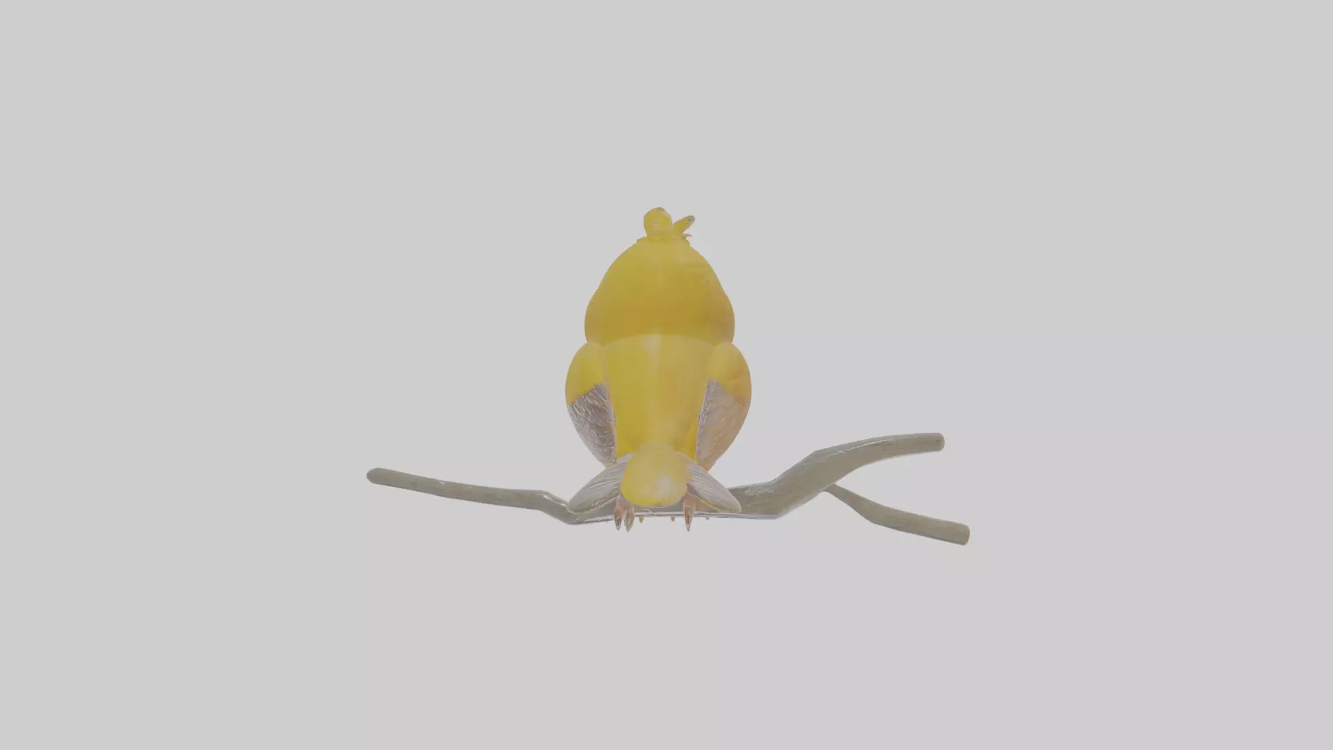 Cartoon Canary Low-poly 3D model_0