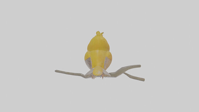 Cartoon Canary Low-poly 3D model