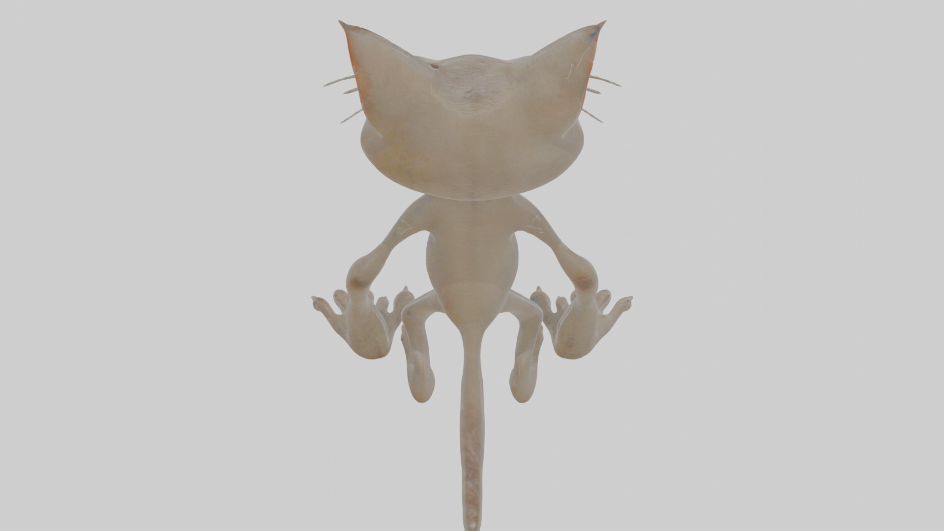 Cartoon Cat internet horror creature Model Low-poly 3D model_24