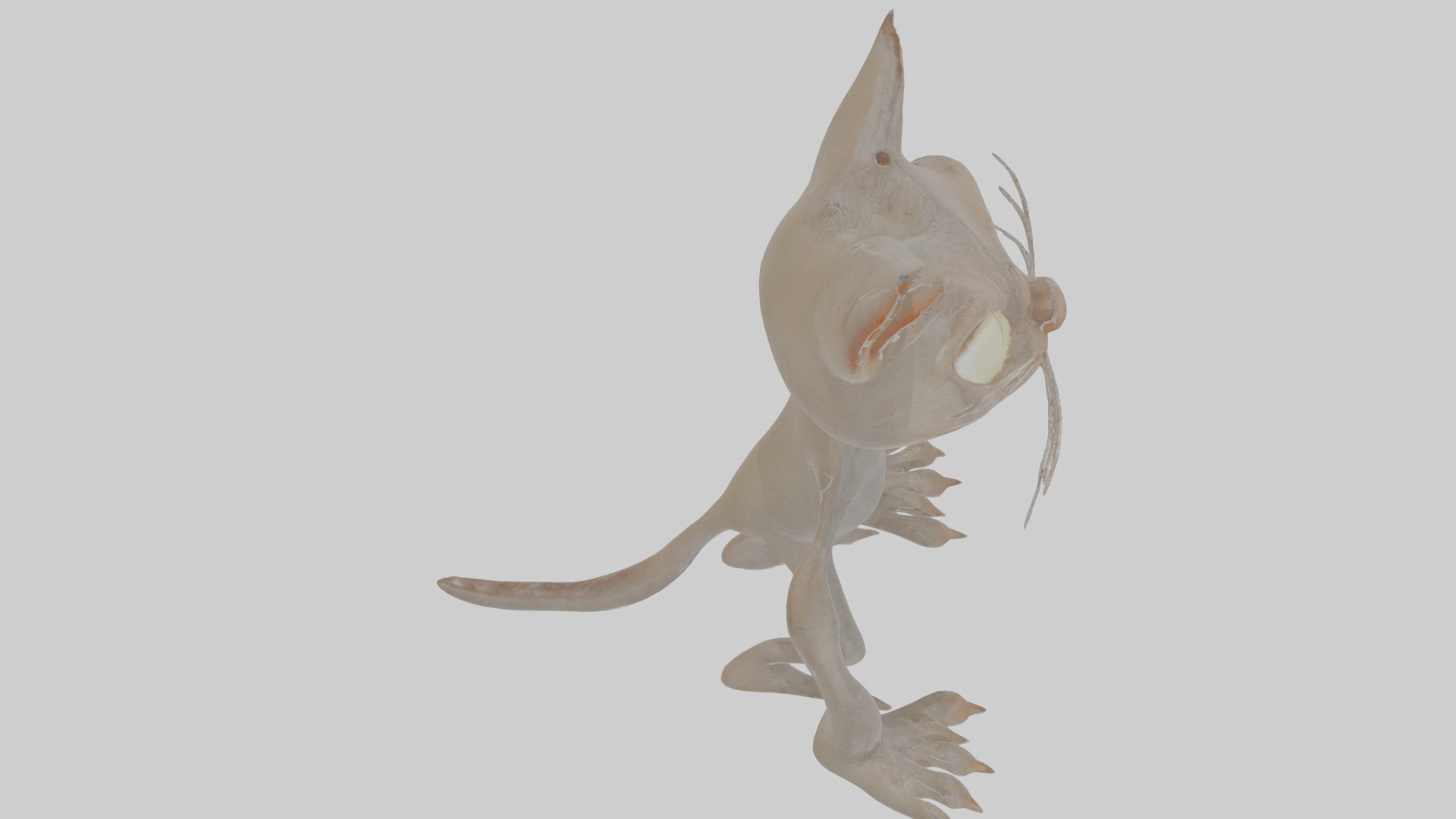Cartoon Cat internet horror creature Model Low-poly 3D model_28