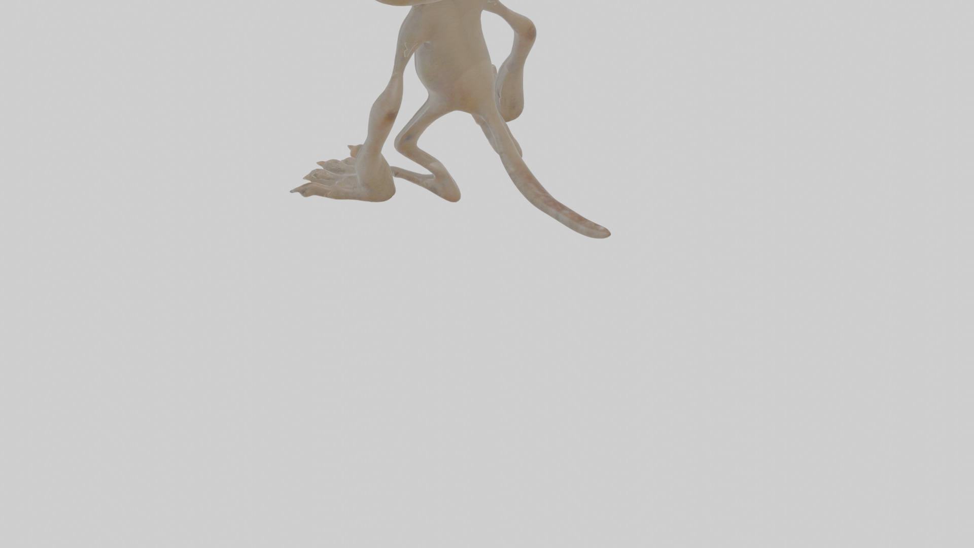 Cartoon Cat internet horror creature Model Low-poly 3D model_3