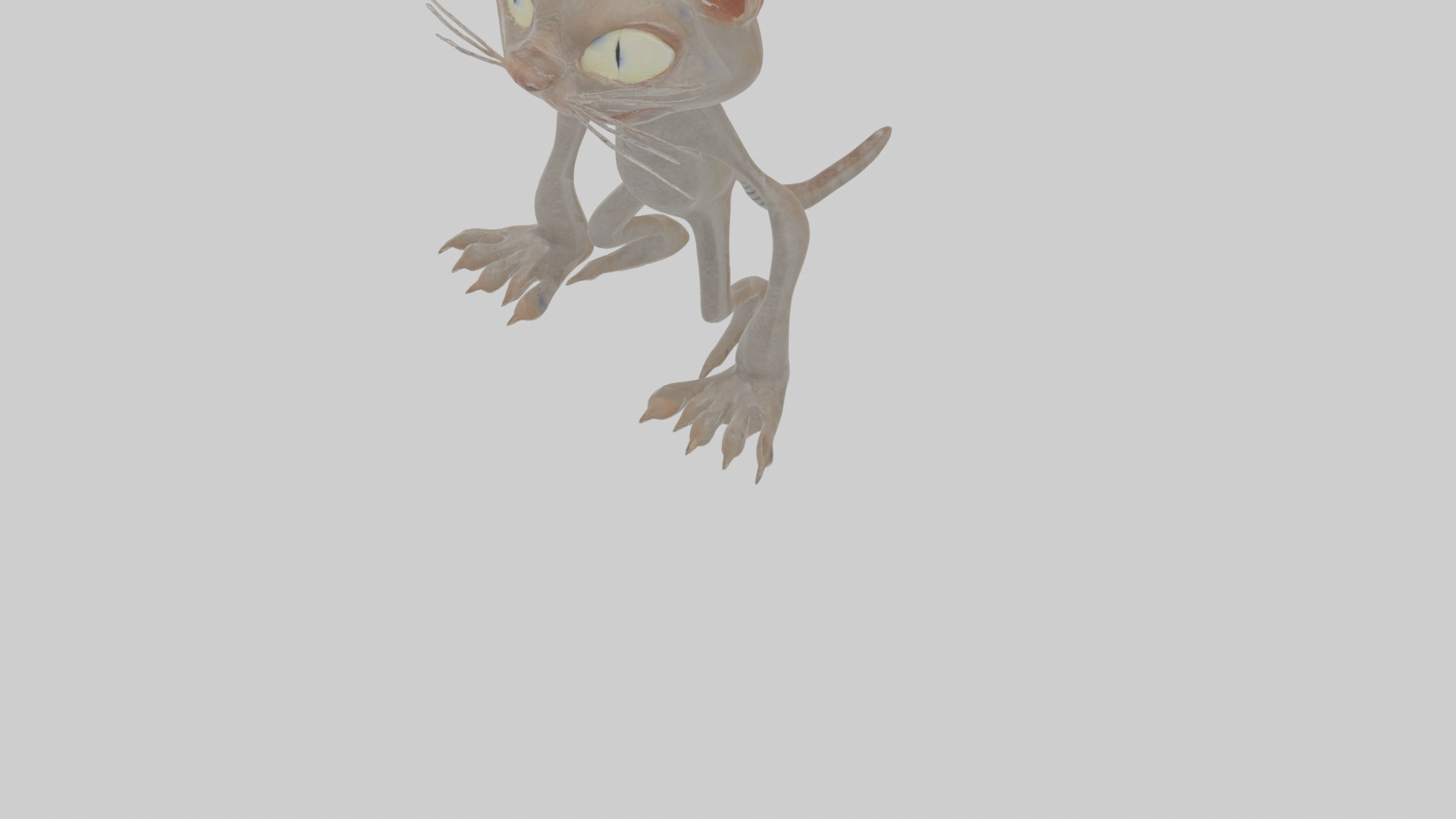 Cartoon Cat internet horror creature Model Low-poly 3D model_7