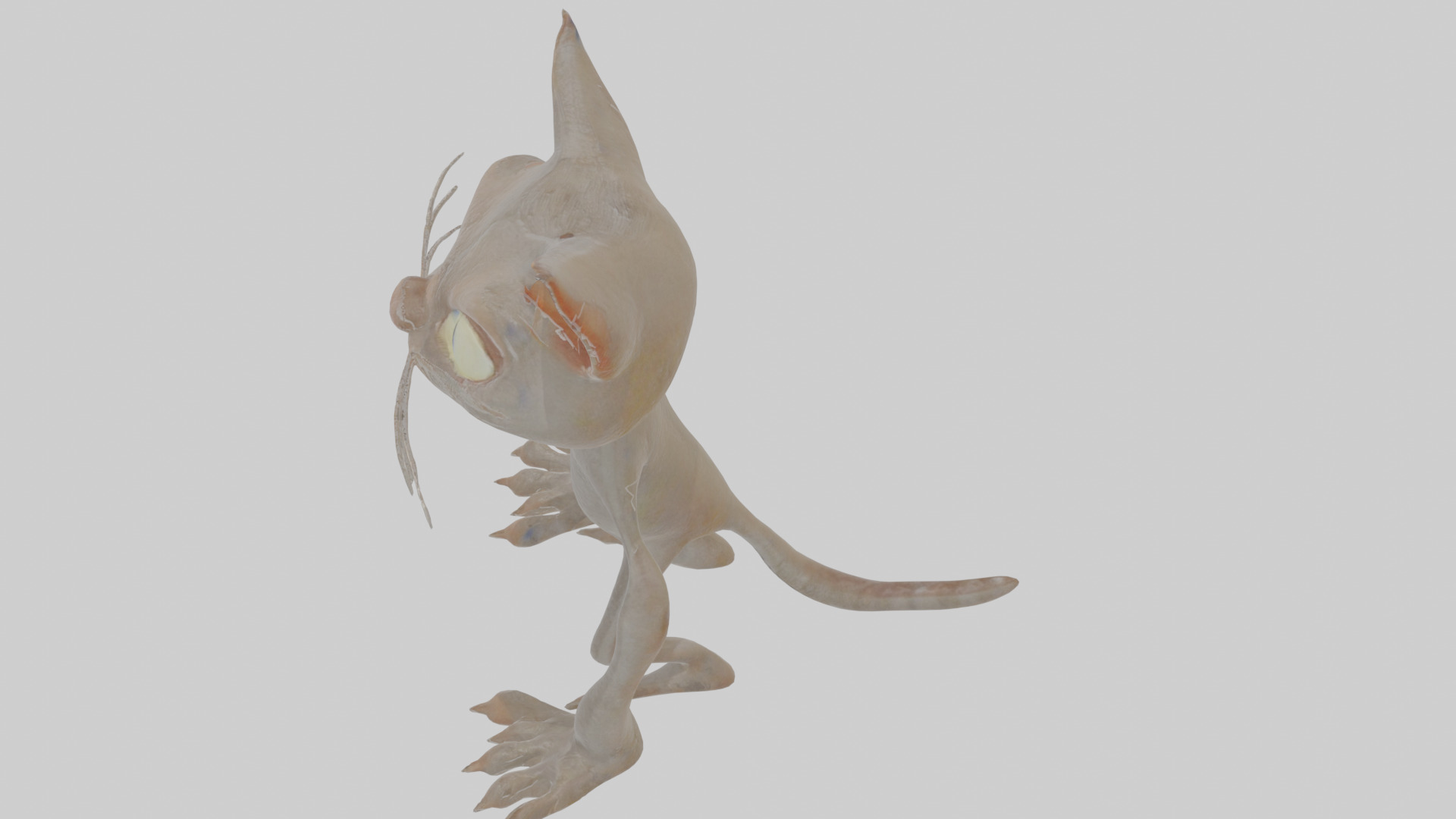 Cartoon Cat internet horror creature Model Low-poly 3D model_26